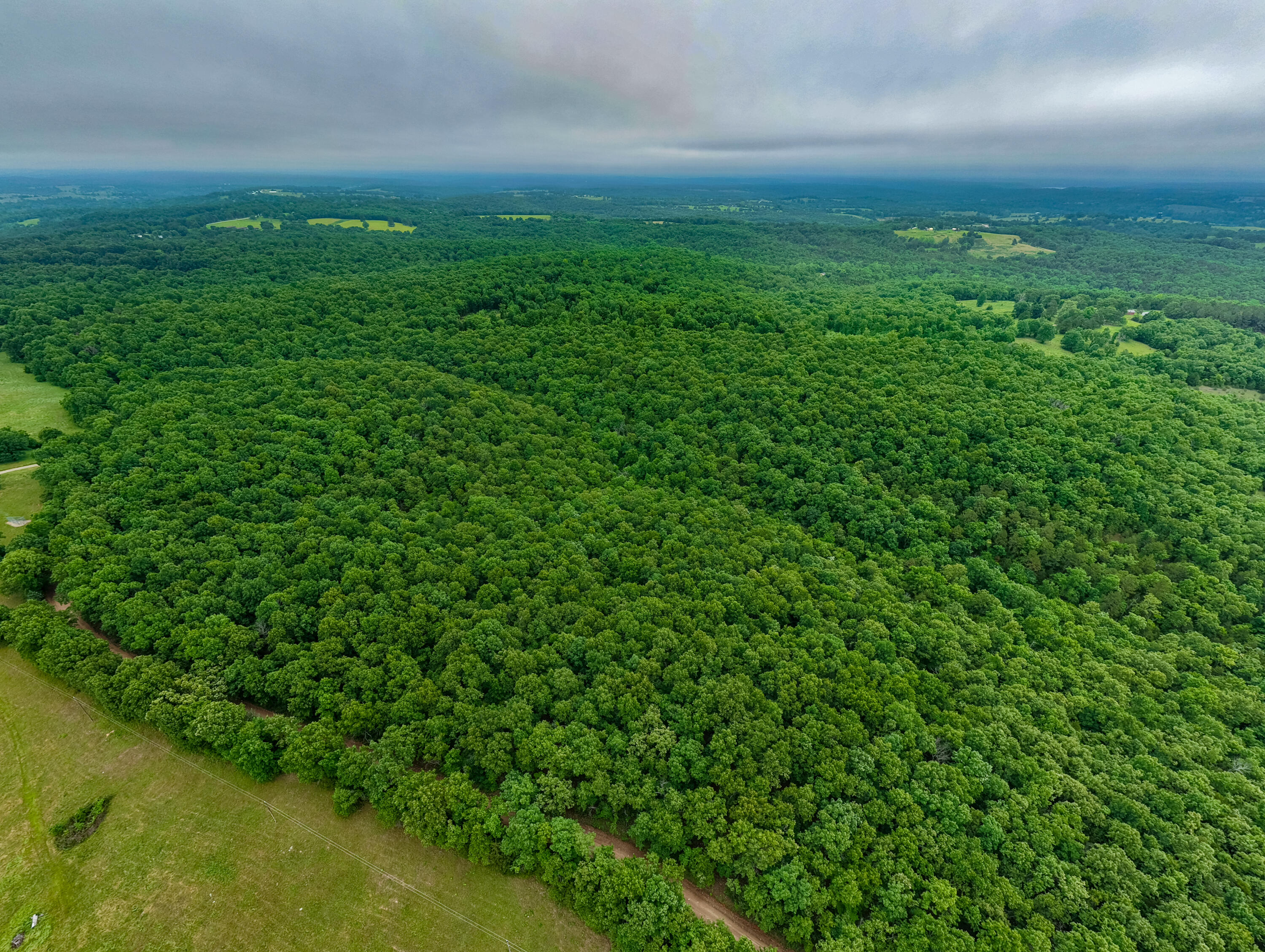 Photo 13 - Land for sale – 000  Co Rd 519   Hardenville, MO
