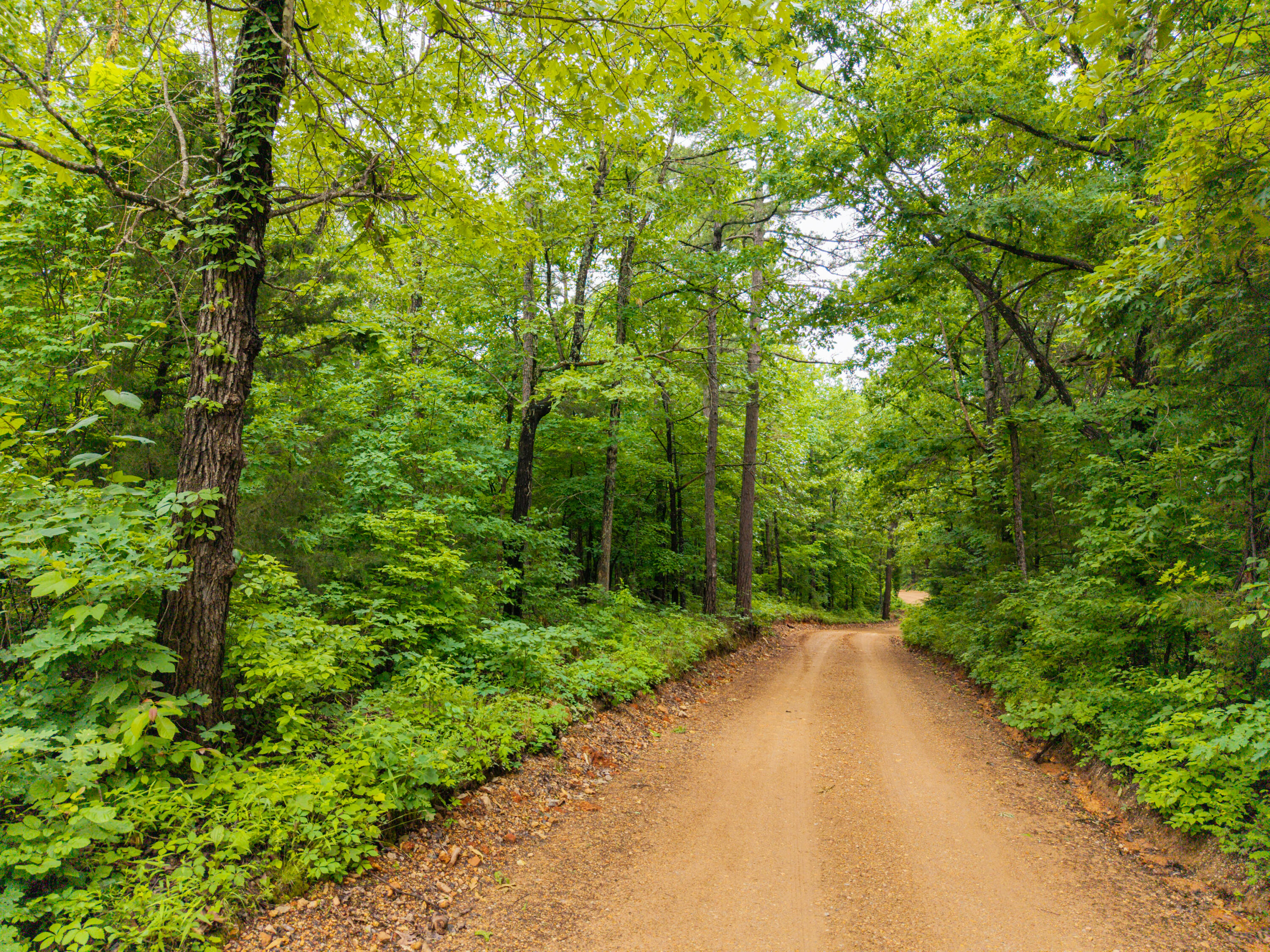 Photo 18 - Land for sale – 000  Co Rd 519   Hardenville, MO