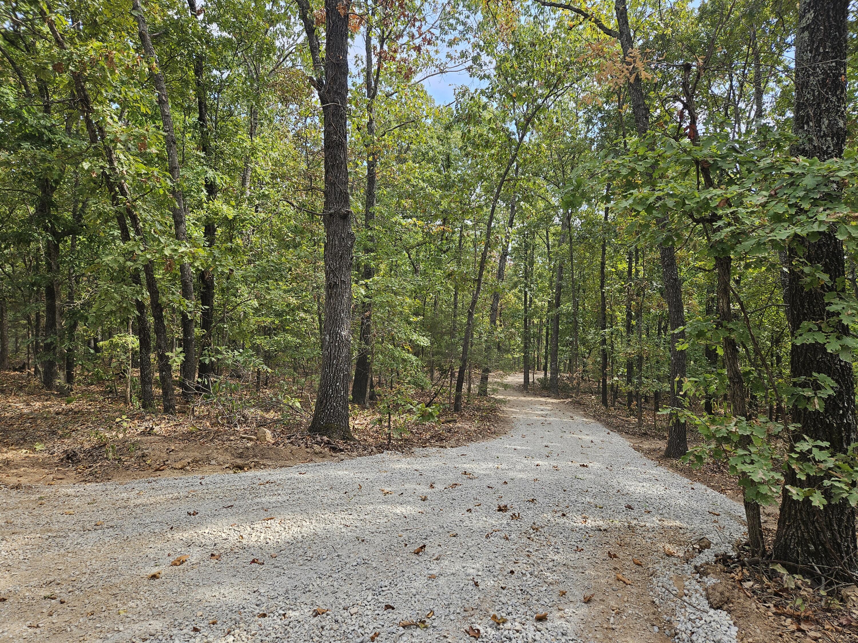 Land for sale – 000  Co Rd 519   Hardenville, MO