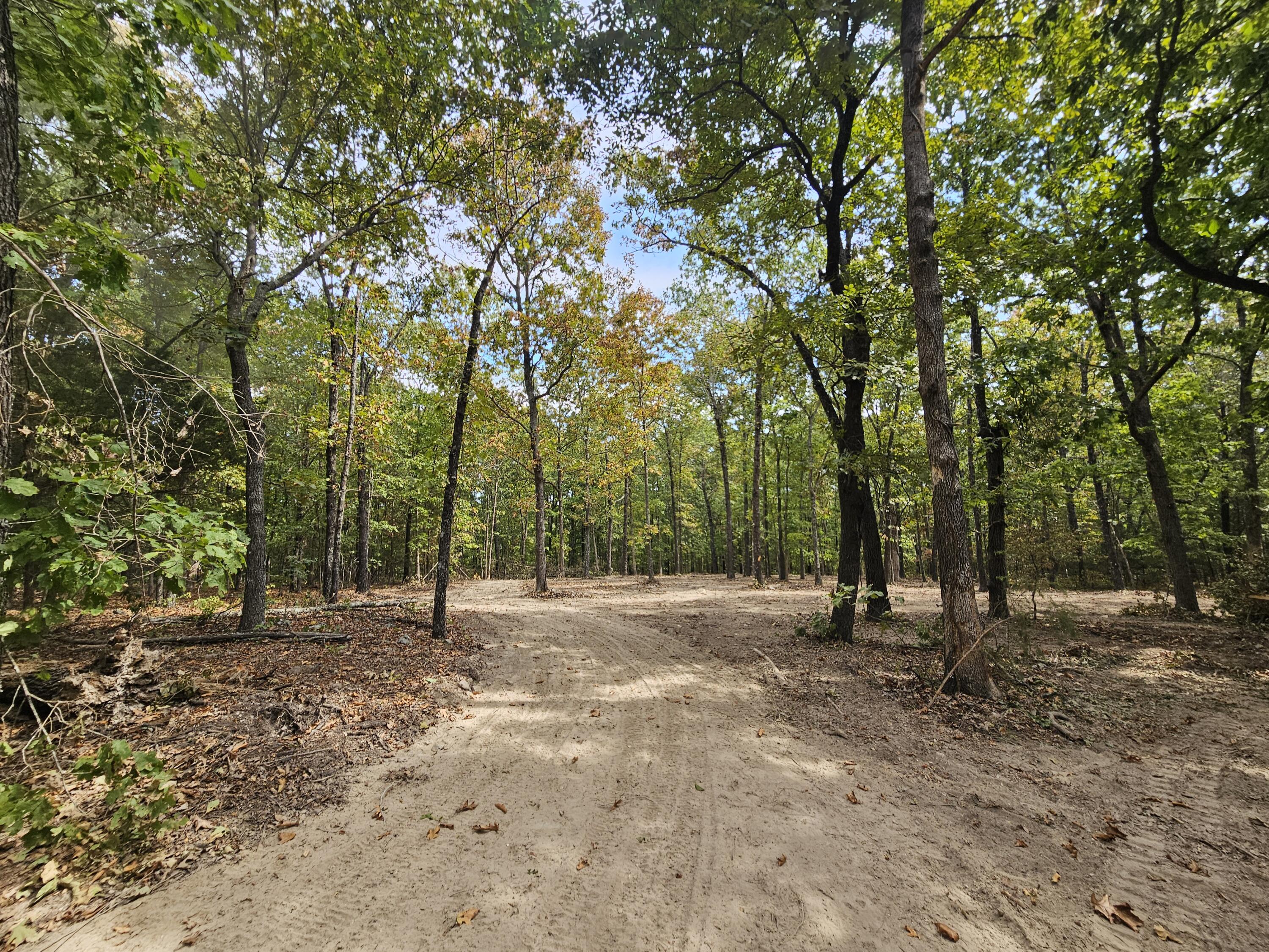 Photo 3 - Land for sale – 000  Co Rd 519   Hardenville, MO
