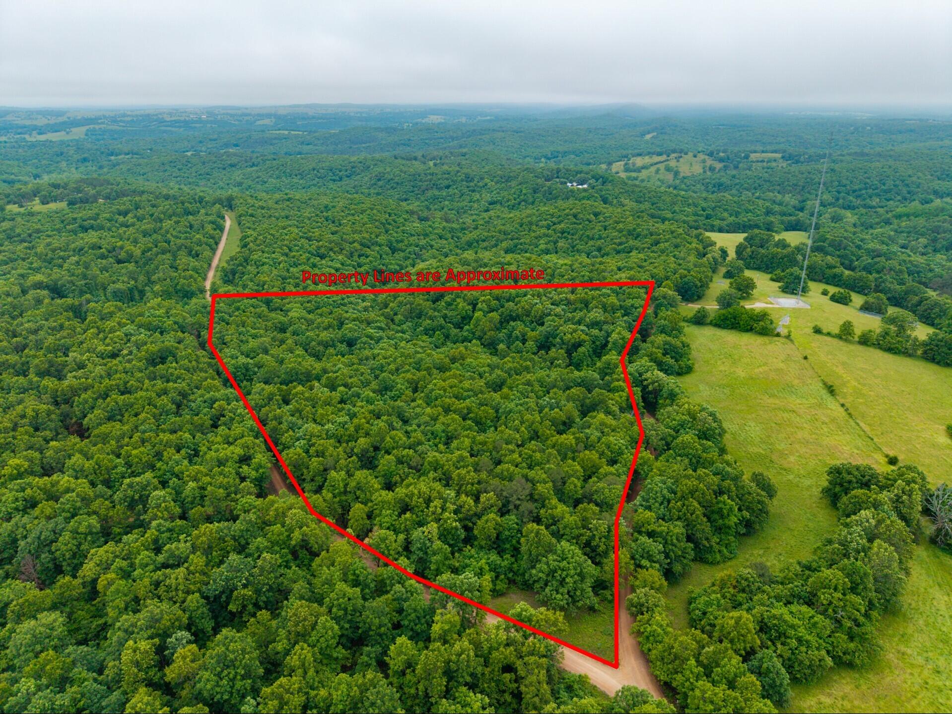 Photo 7 - Land for sale – 000  Co Rd 519   Hardenville, MO