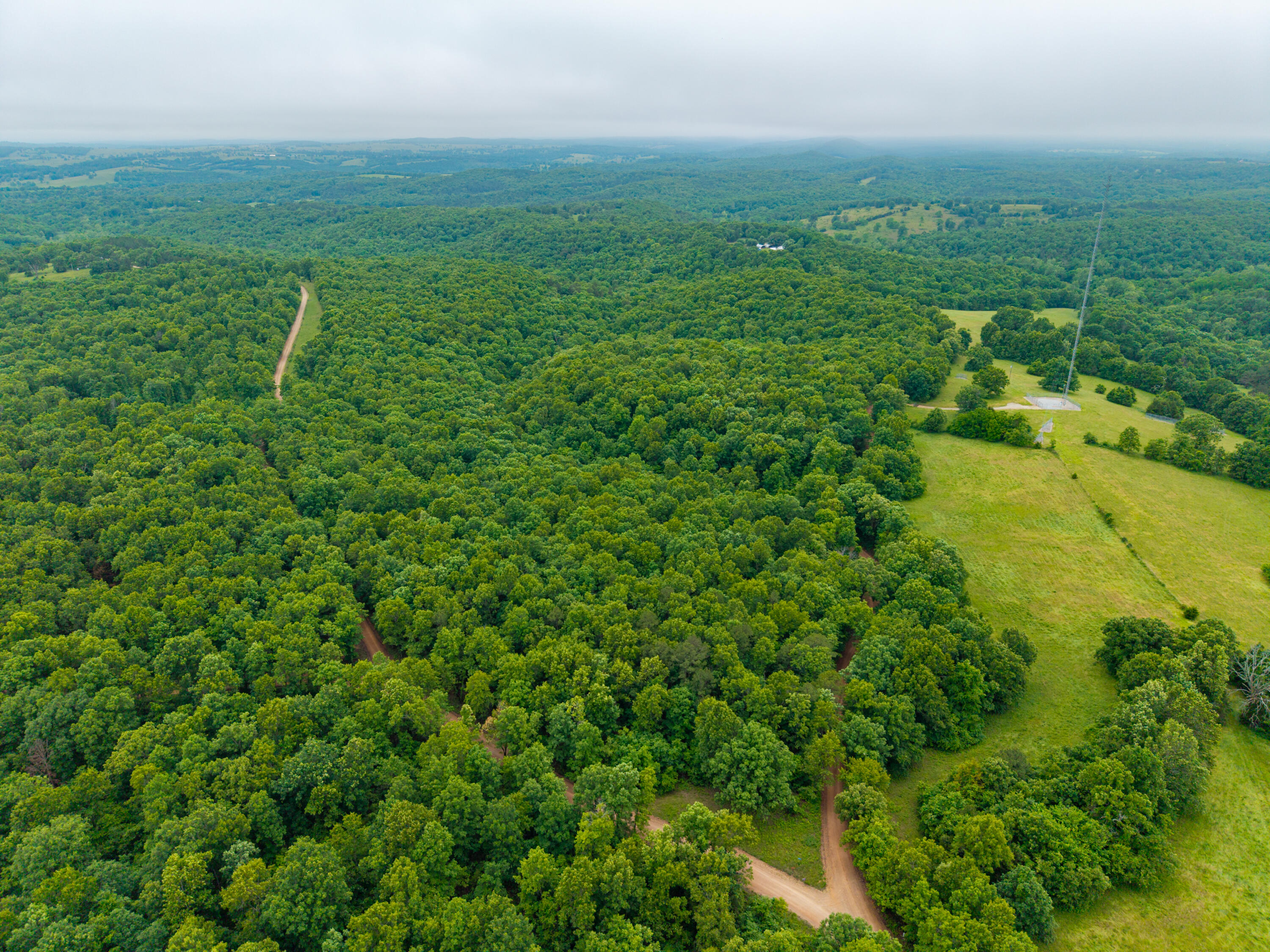 Photo 8 - Land for sale – 000  Co Rd 519   Hardenville, MO