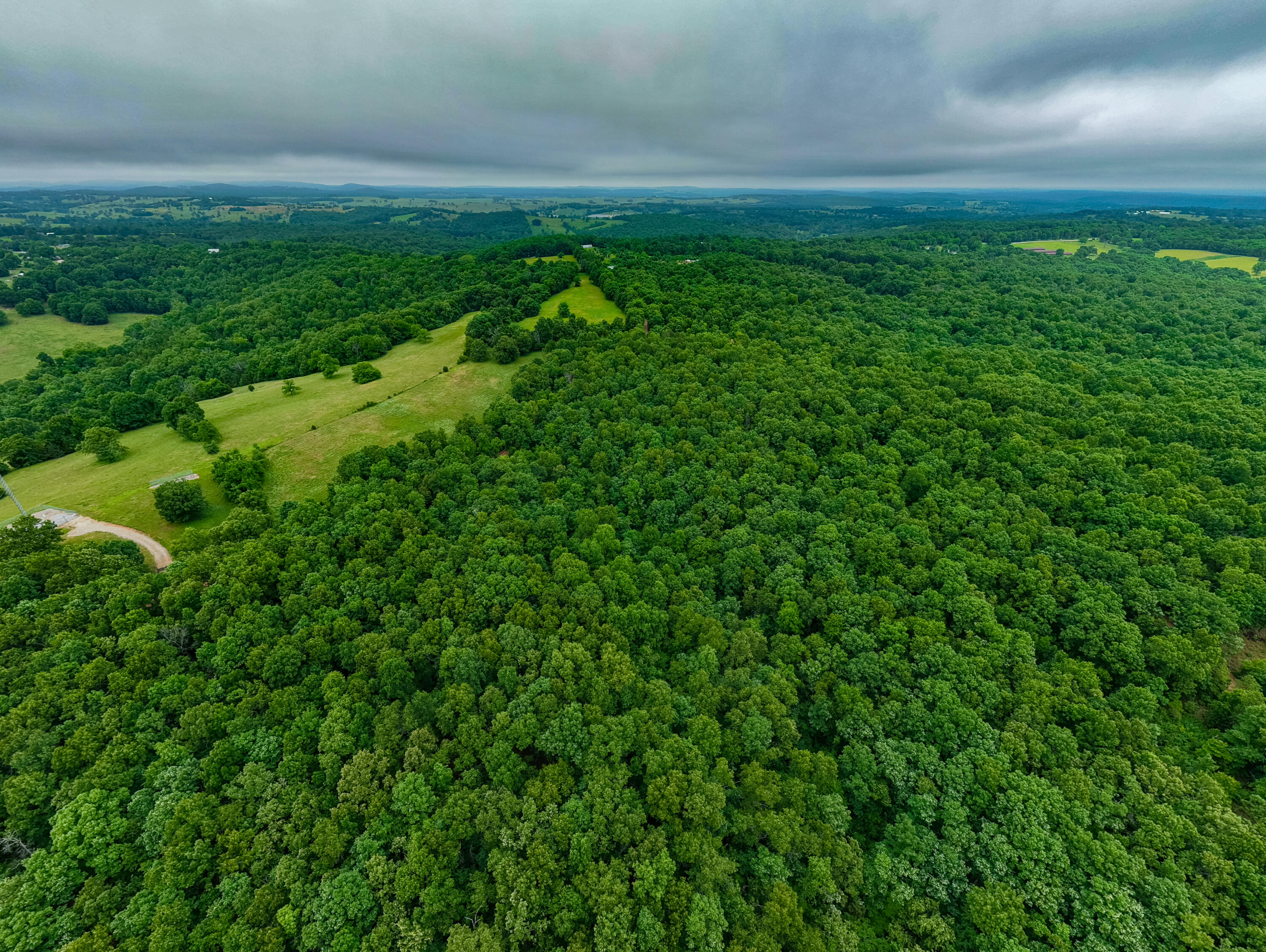 Photo 12 - Land for sale – 000  Co Rd 519   Hardenville, MO