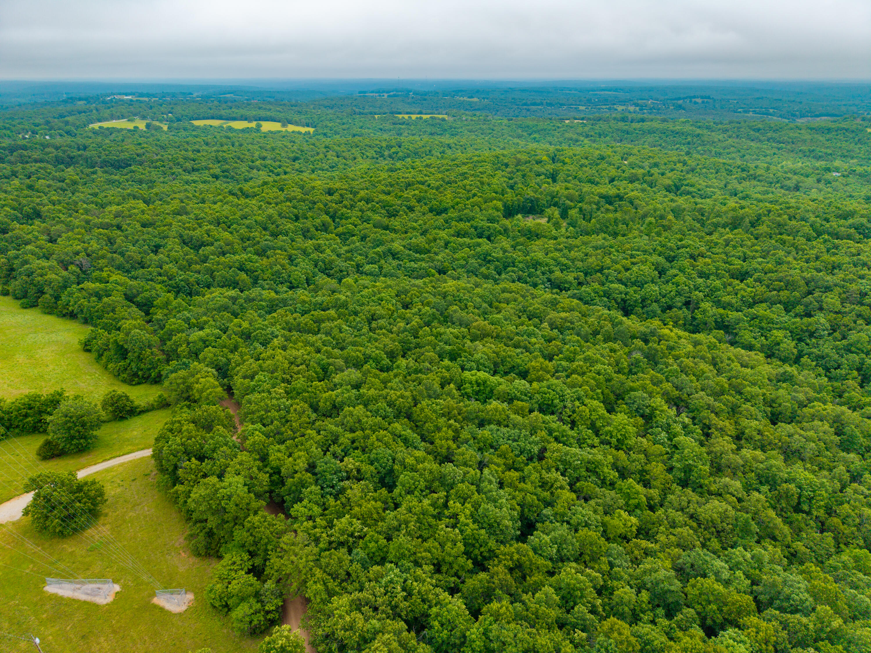 Photo 15 - Land for sale – 000  Co Rd 519   Hardenville, MO