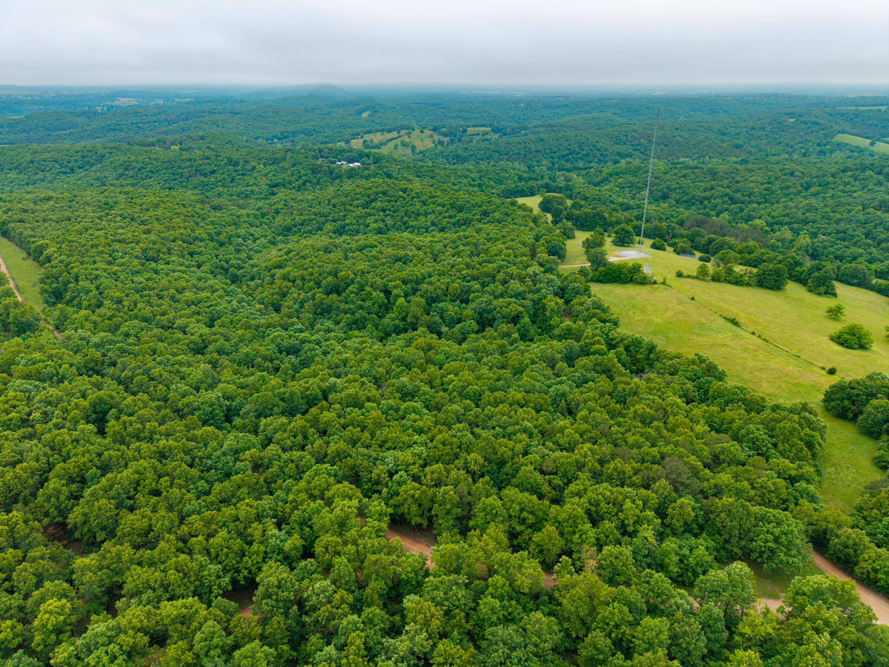 Photo 6 - Land for sale – 000  Co Rd 519   Hardenville, MO