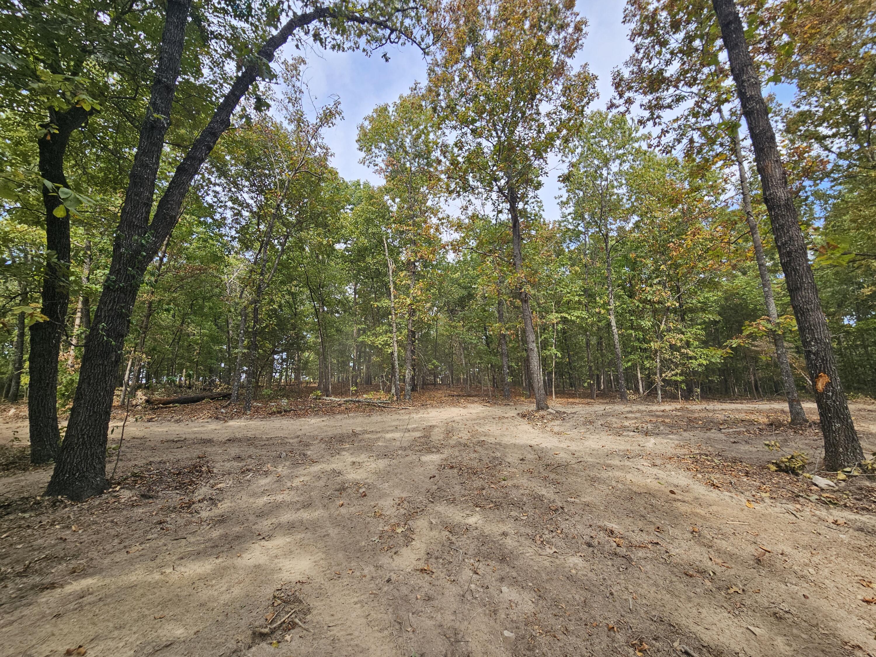 Photo 4 - Land for sale – 000  Co Rd 519   Hardenville, MO