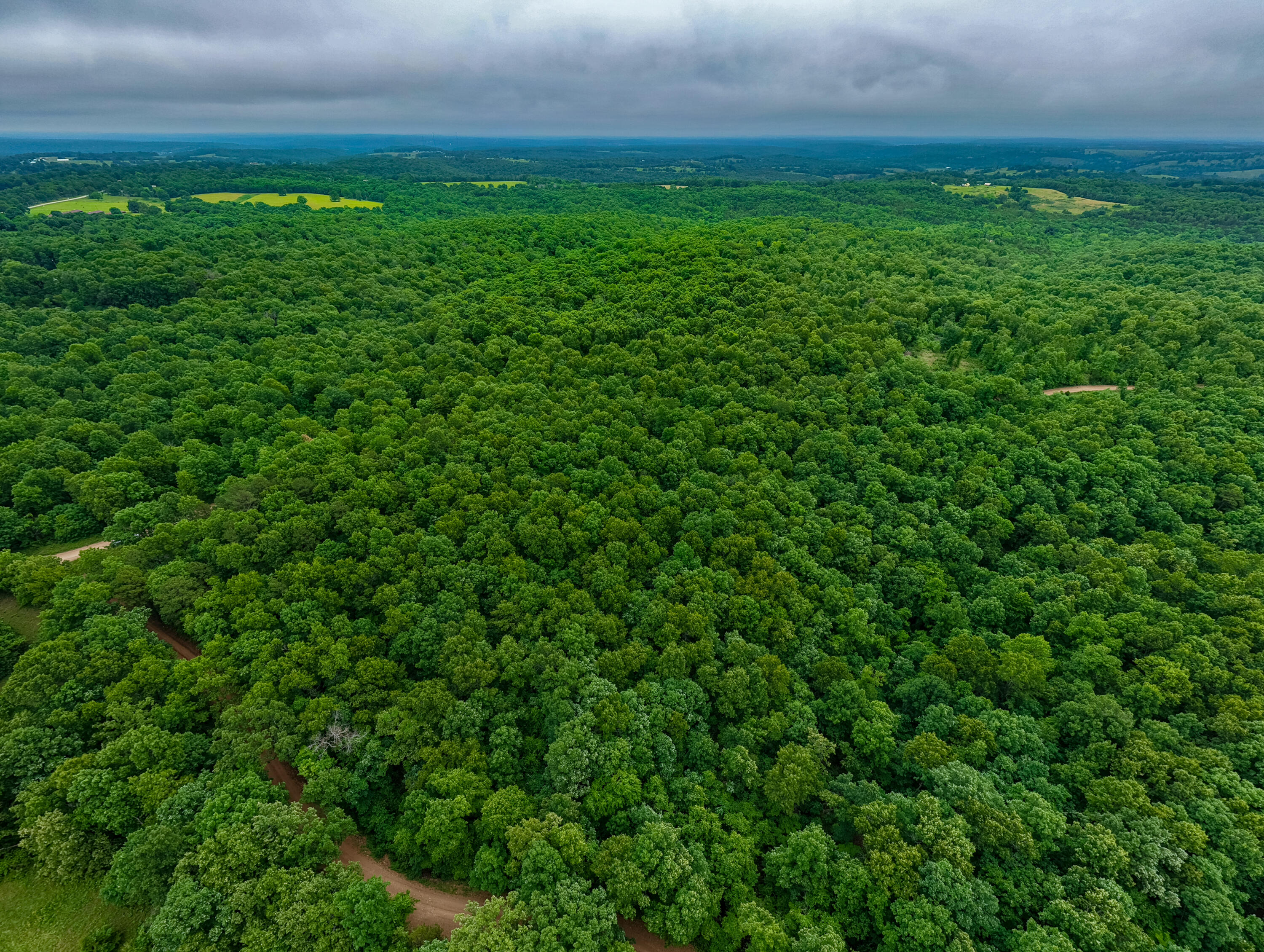 Photo 14 - Land for sale – 000  Co Rd 519   Hardenville, MO