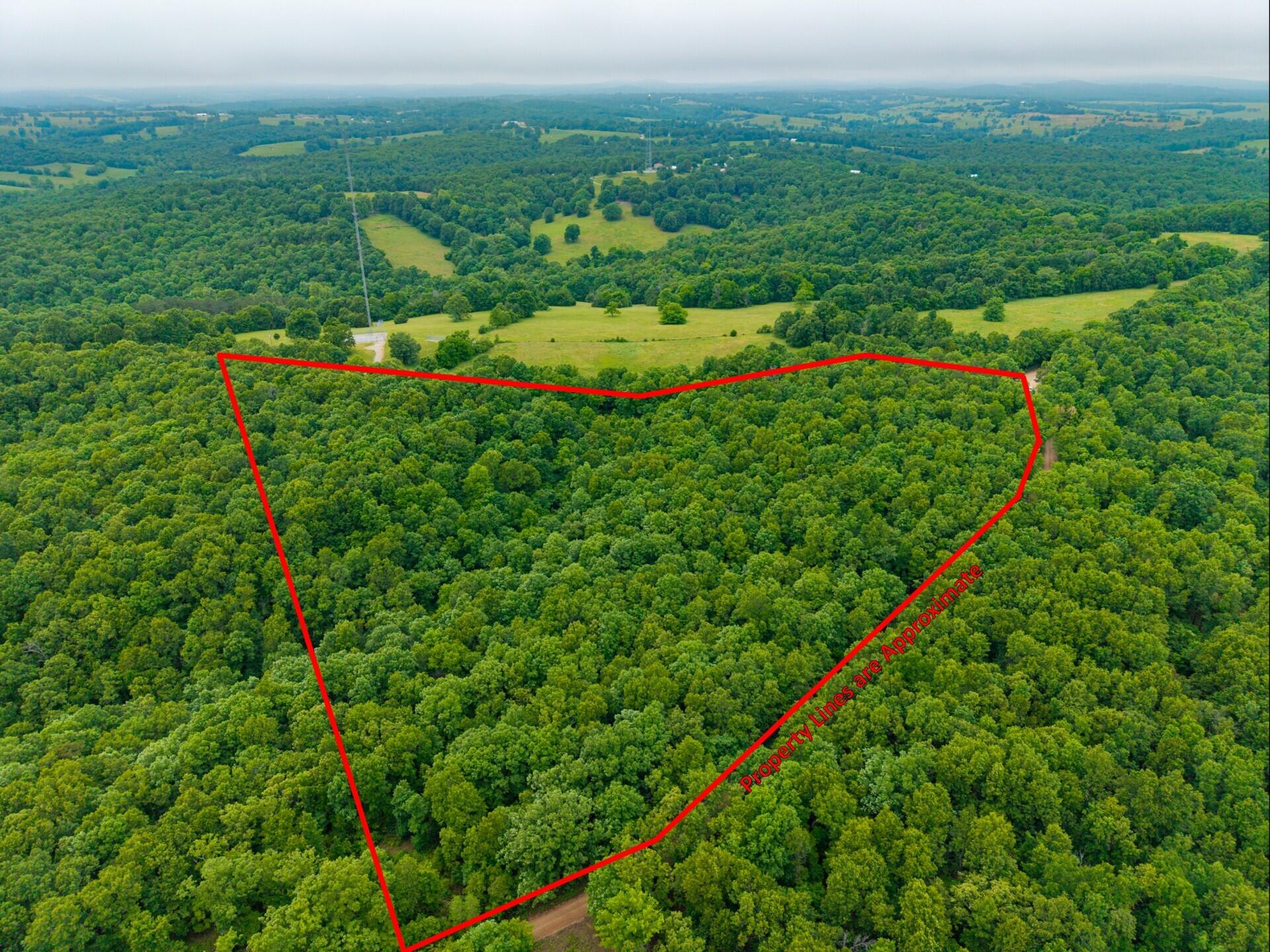 Photo 9 - Land for sale – 000  Co Rd 519   Hardenville, MO