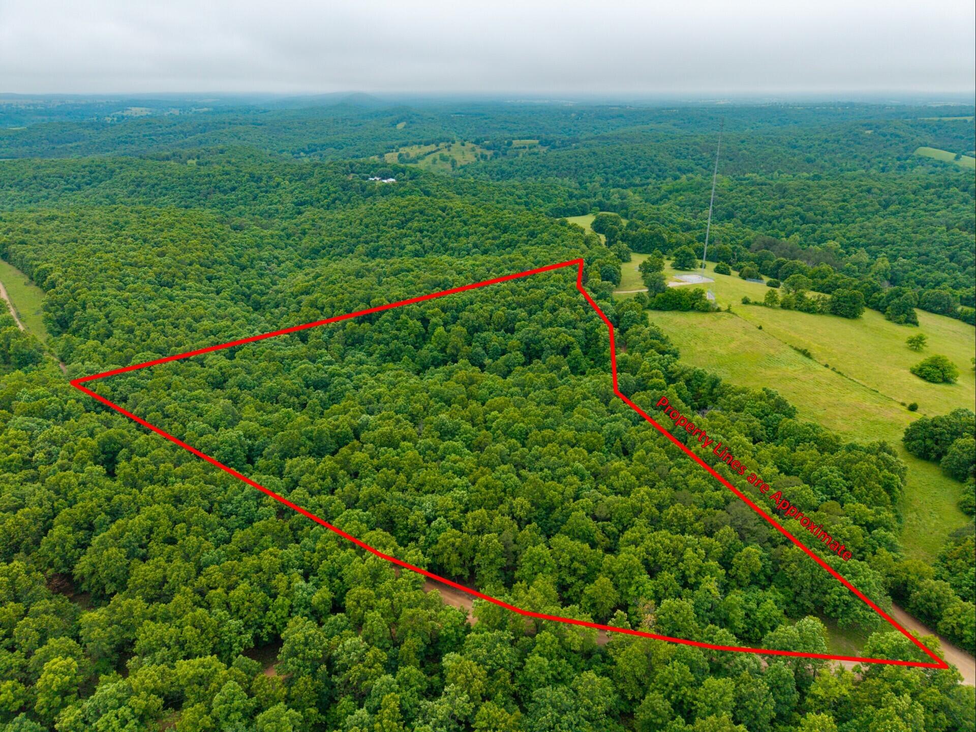 Photo 5 - Land for sale – 000  Co Rd 519   Hardenville, MO
