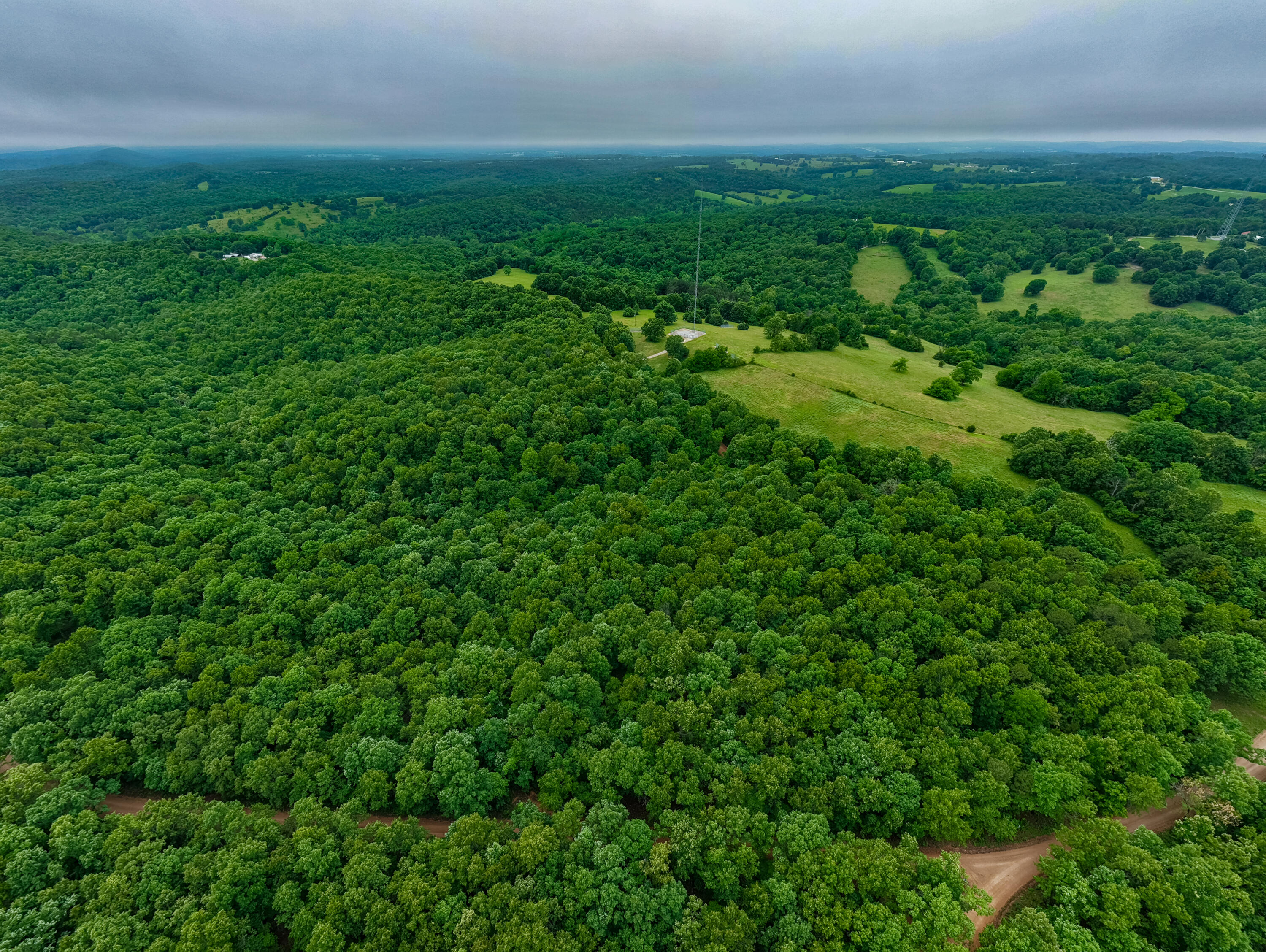 Photo 13 - Land for sale – 000  Co Rd 519   Hardenville, MO