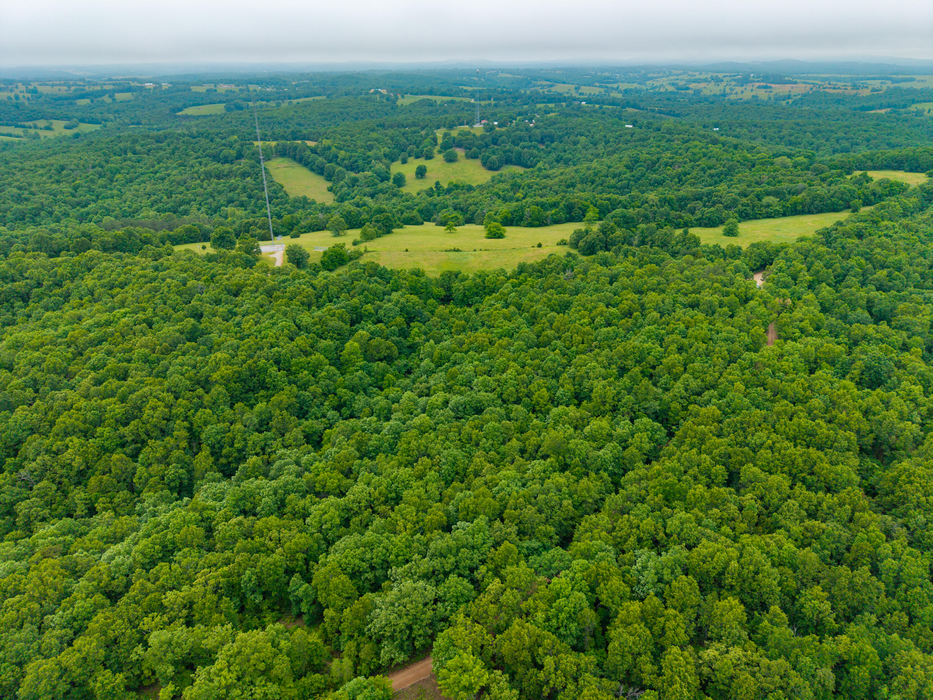 Photo 10 - Land for sale – 000  Co Rd 519   Hardenville, MO