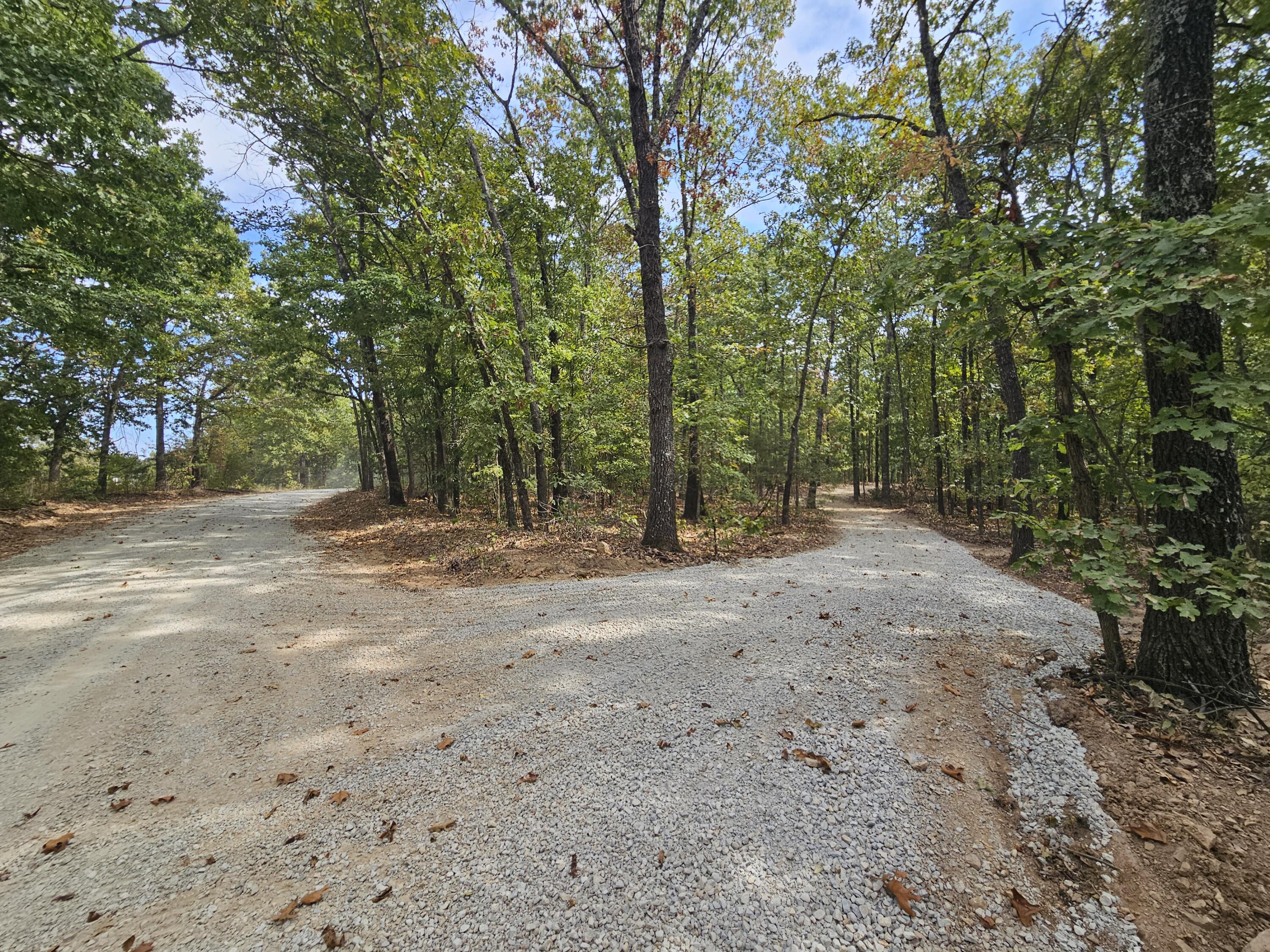Photo 2 - Land for sale – 000  Co Rd 519   Hardenville, MO