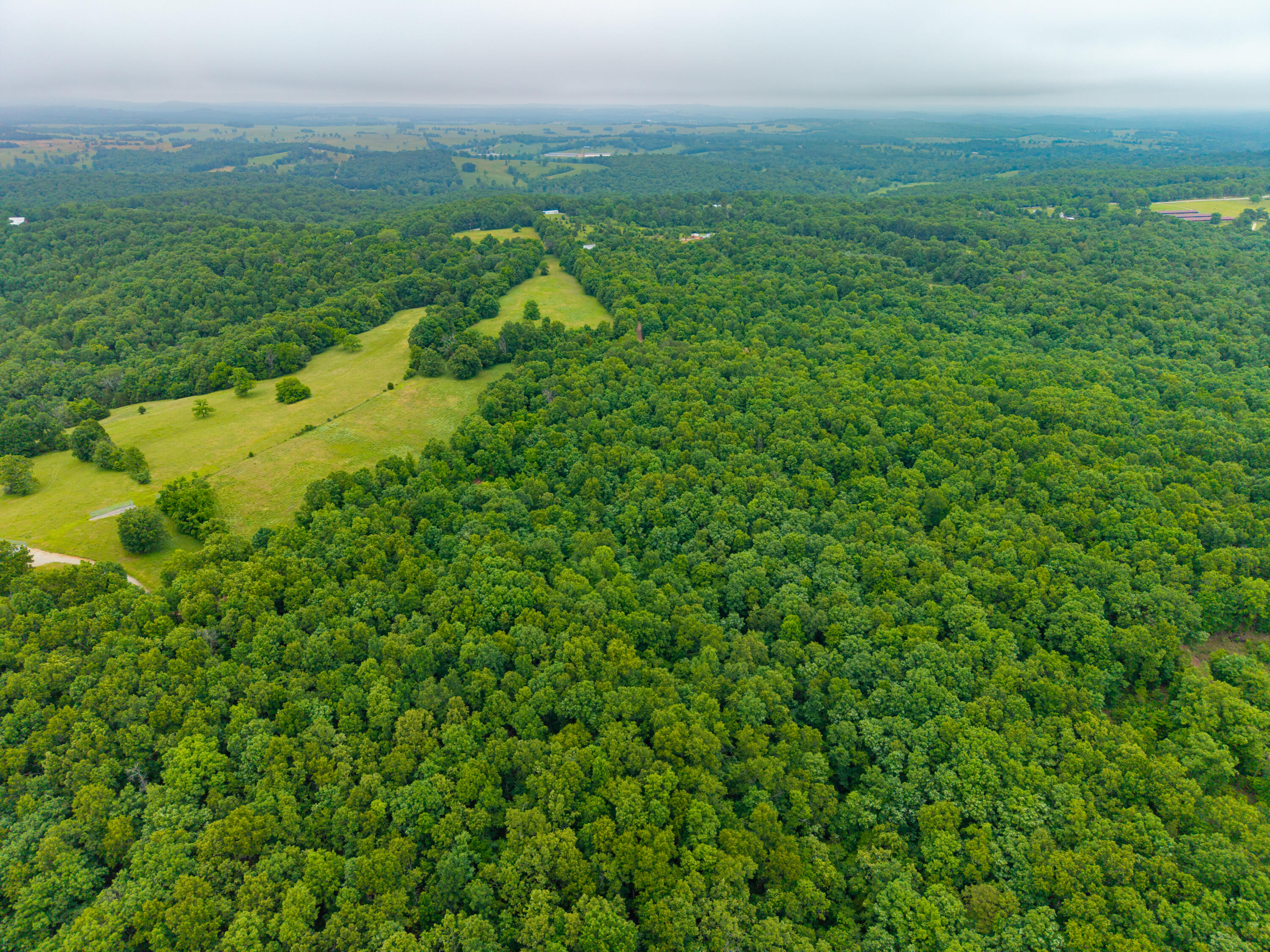 Photo 11 - Land for sale – 000  Co Rd 519   Hardenville, MO