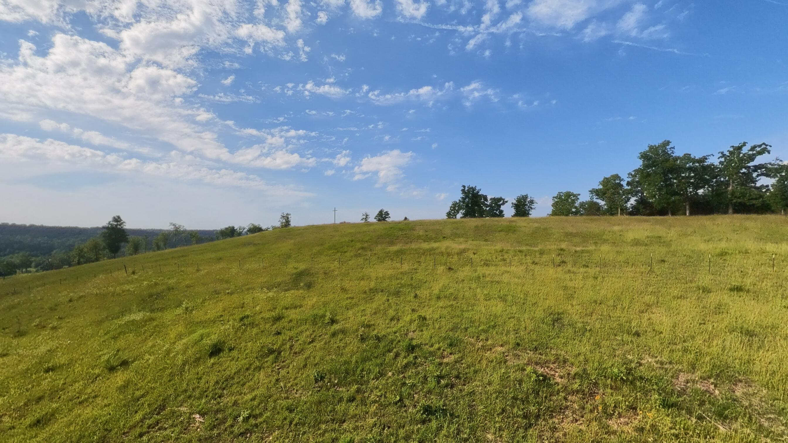Photo 90 - Farm for sale – 1986  County Road 504   Gainesville, MO