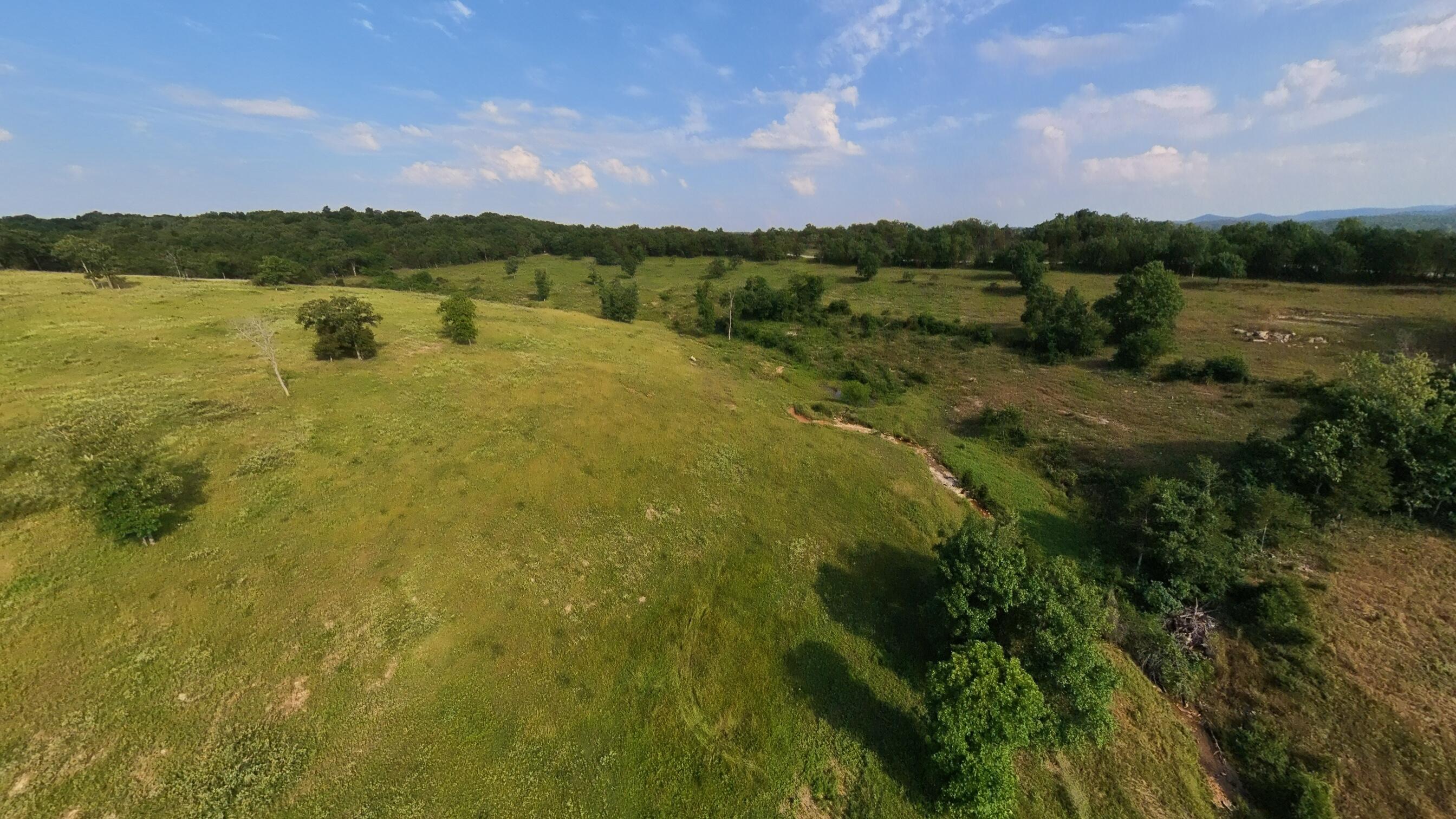 Photo 127 - Farm for sale – 1986  County Road 504   Gainesville, MO