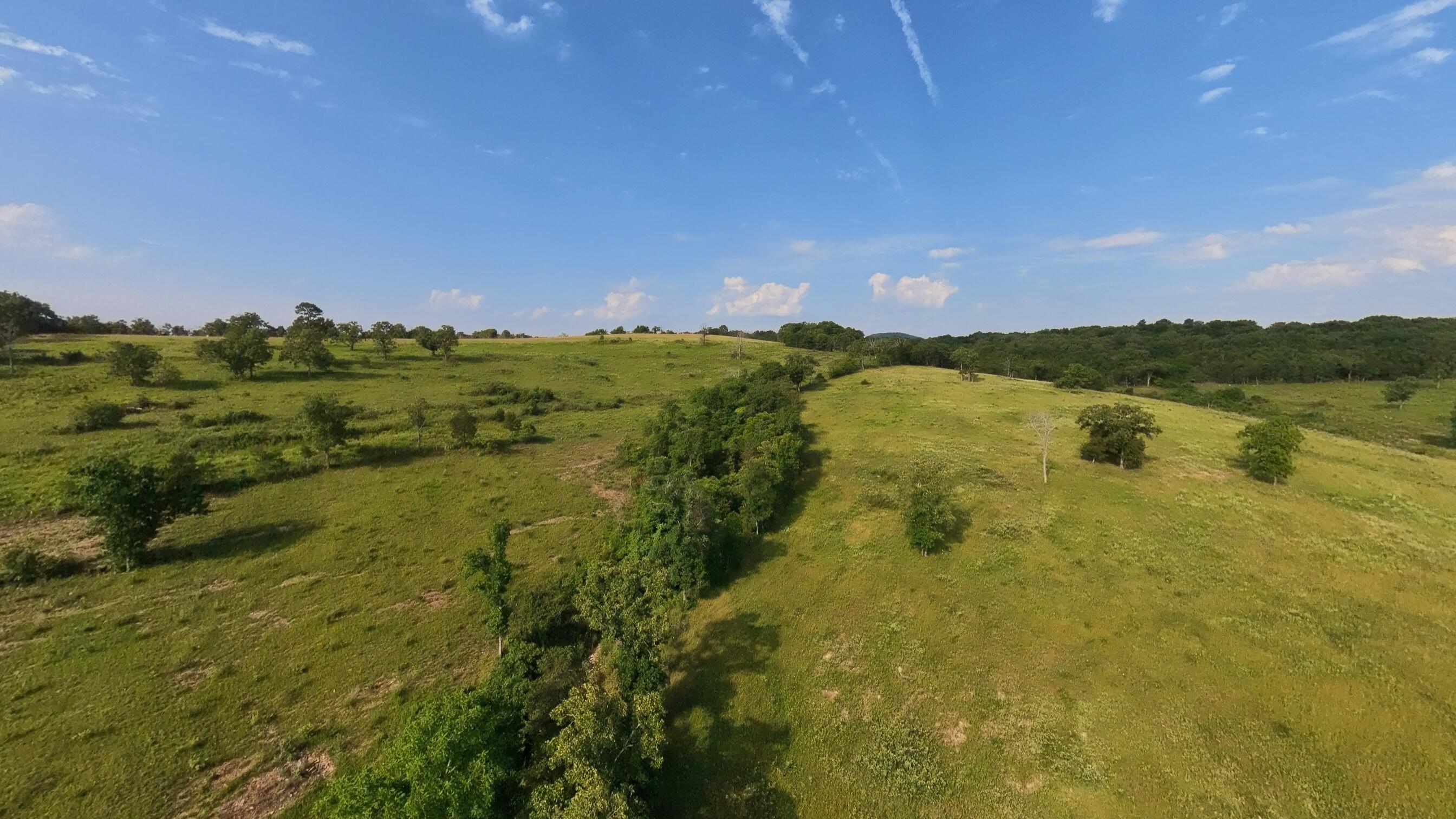 Photo 128 - Farm for sale – 1986  County Road 504   Gainesville, MO