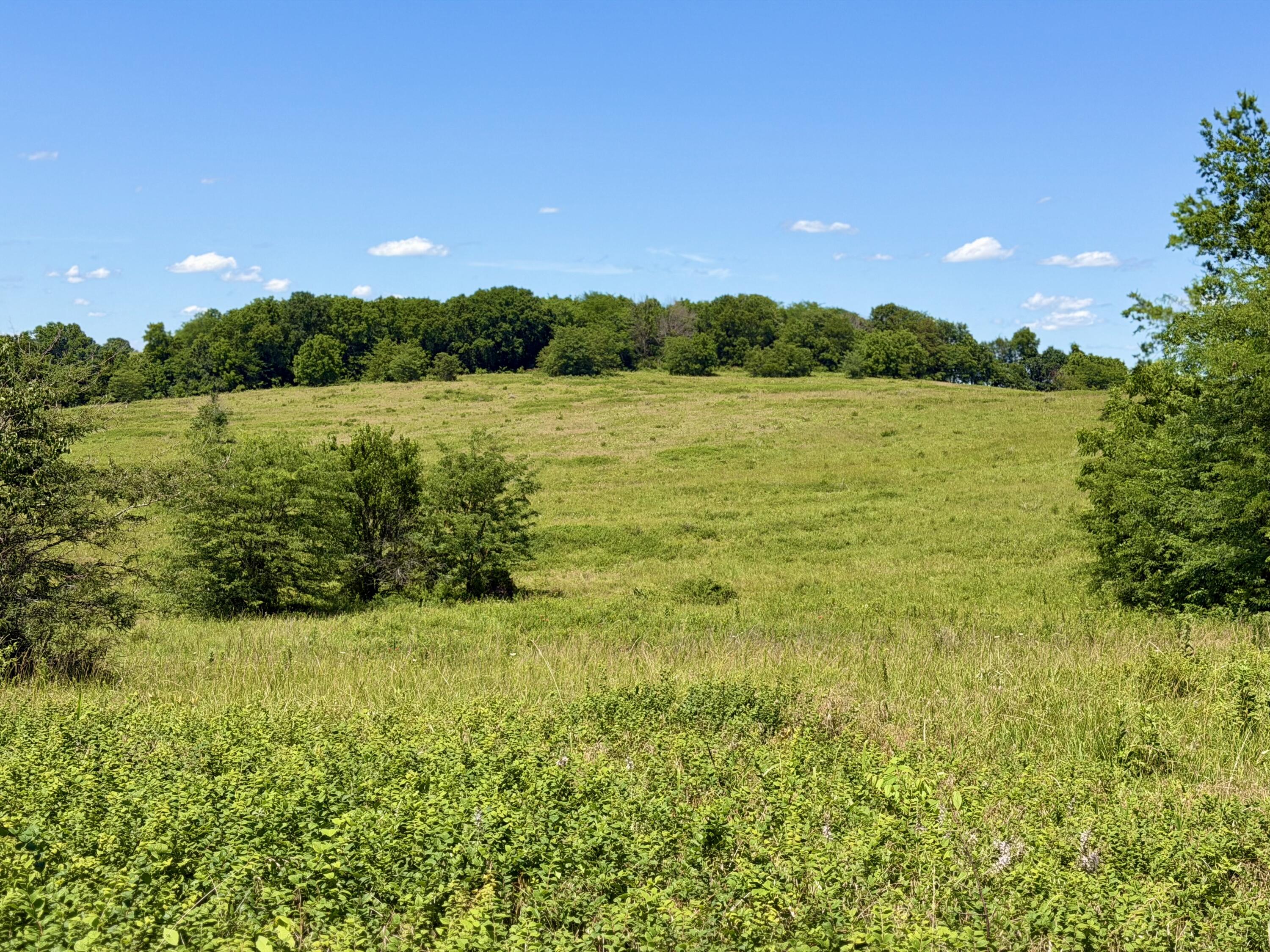 Photo 11 - Land for sale – 000 E 475th Road  Fair Play, MO