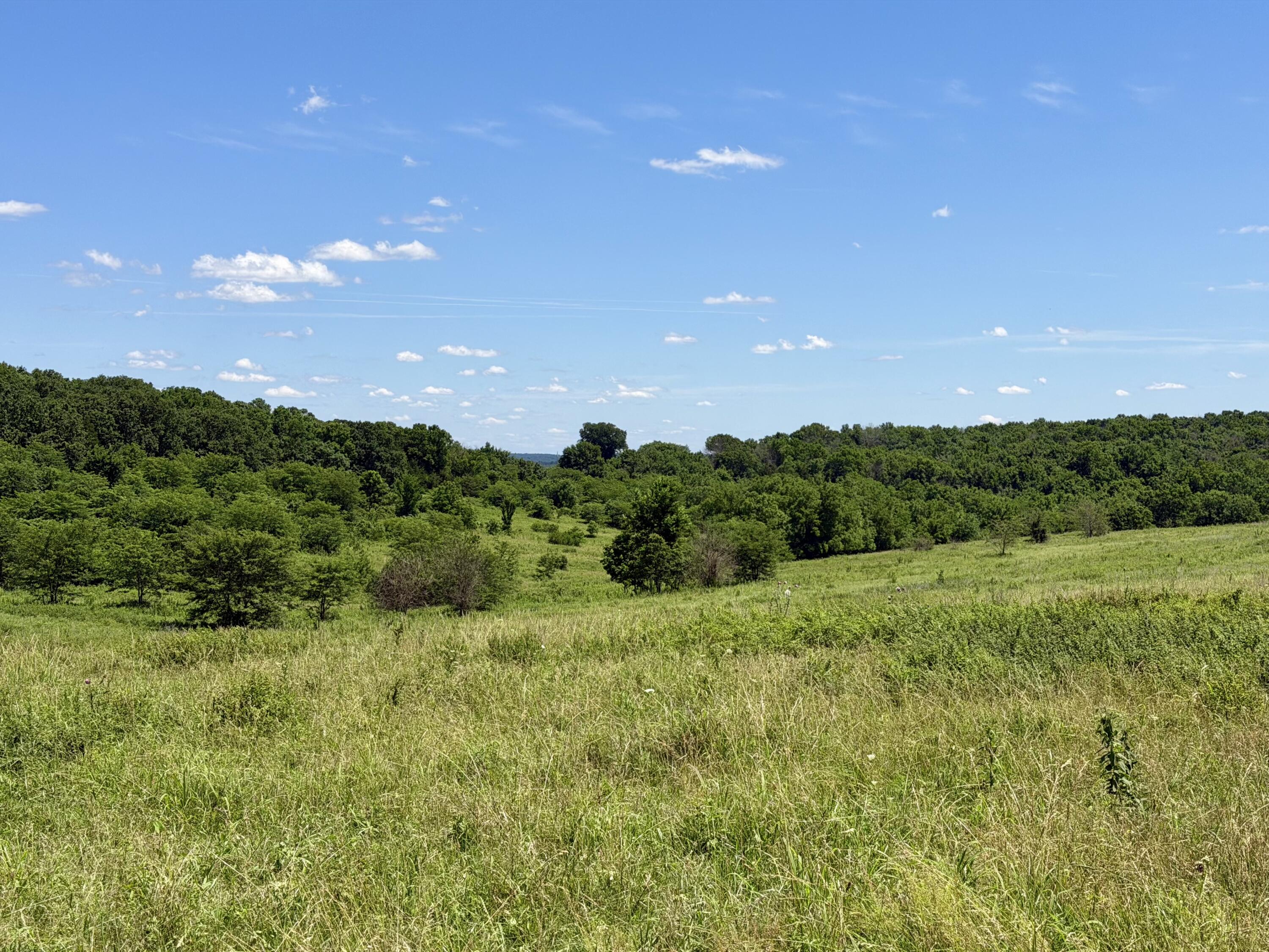 Photo 12 - Land for sale – 000 E 475th Road  Fair Play, MO