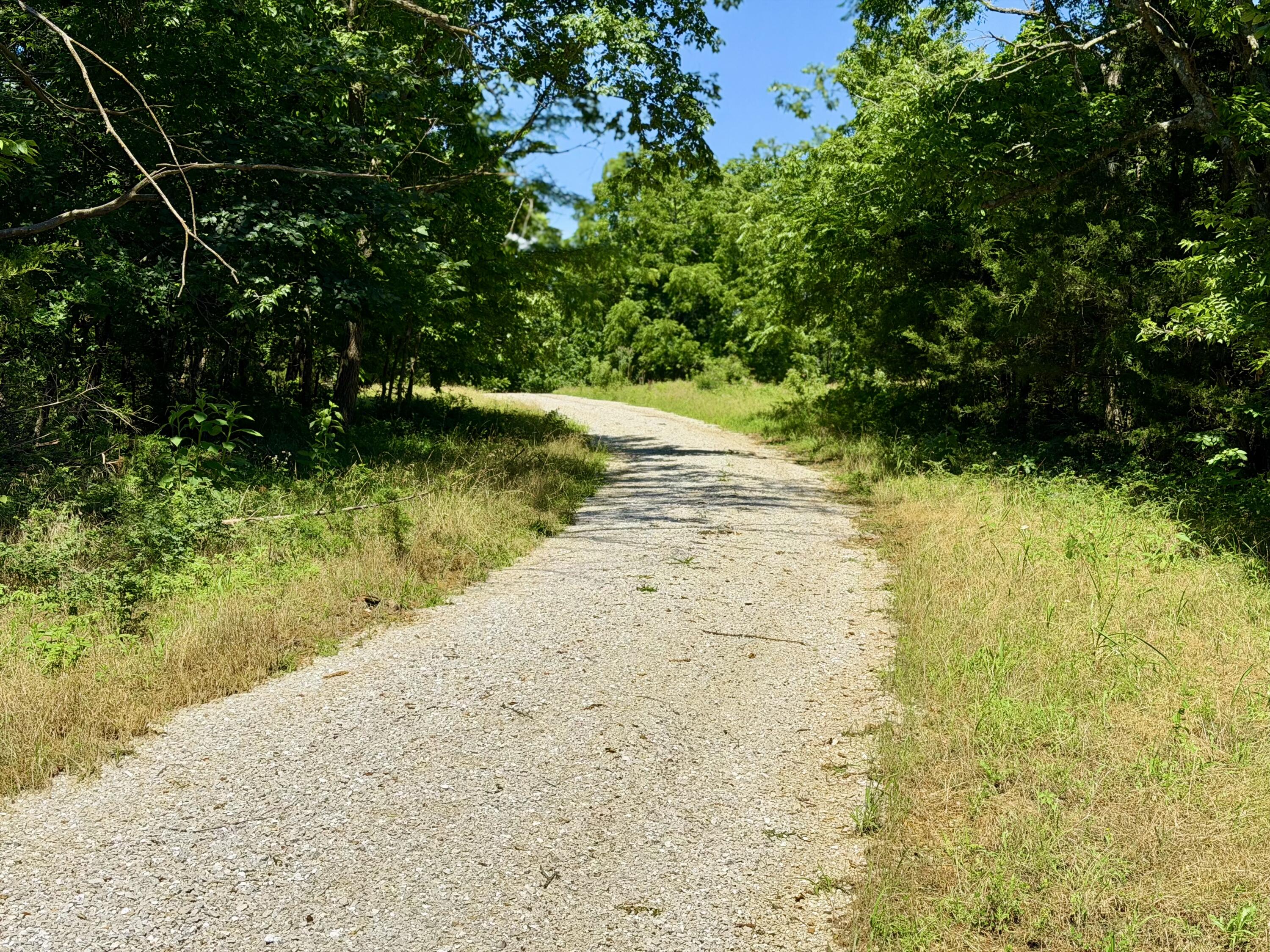 Photo 13 - Land for sale – 000 E 475th Road  Fair Play, MO
