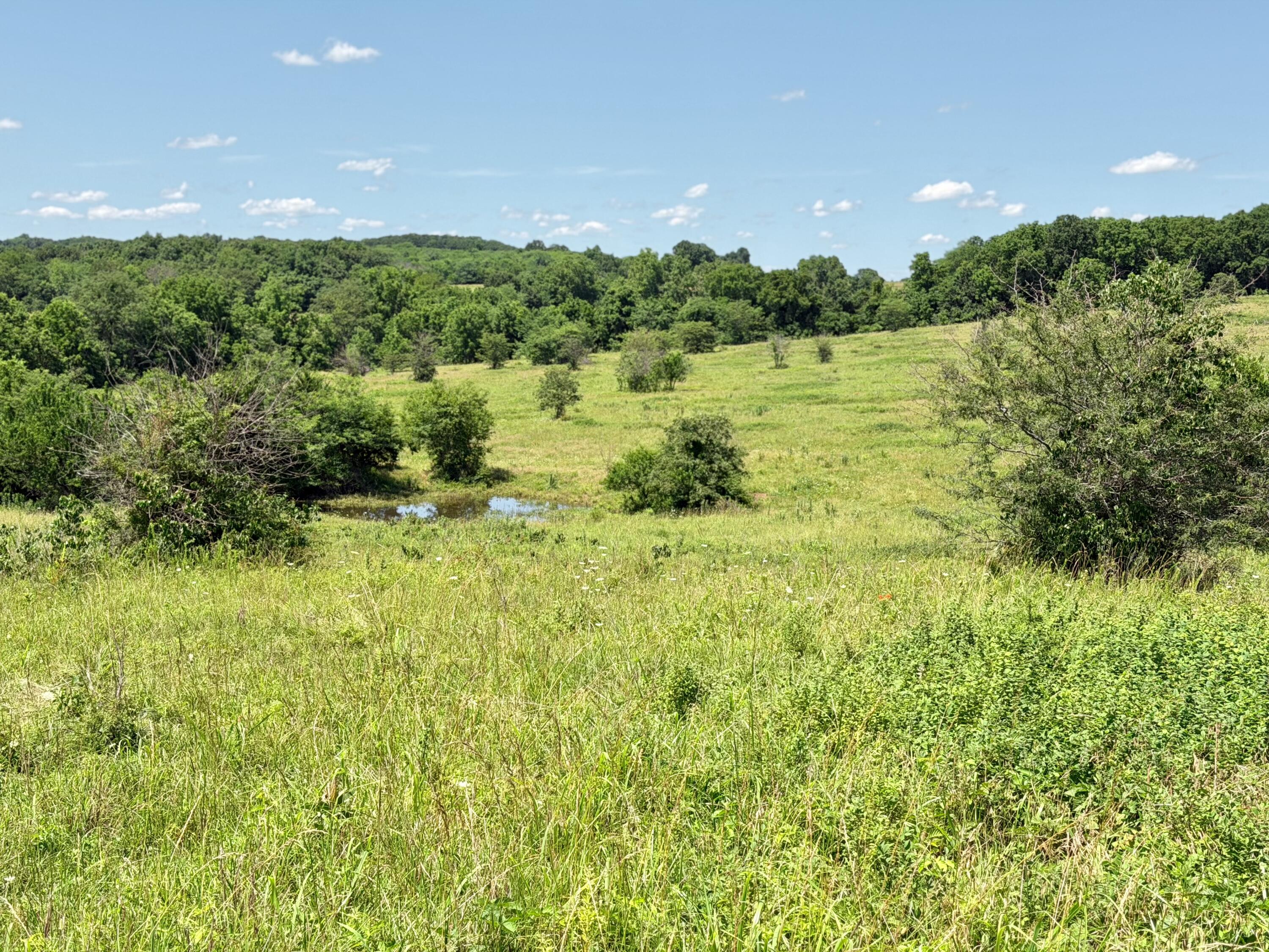 Photo 10 - Land for sale – 000 E 475th Road  Fair Play, MO