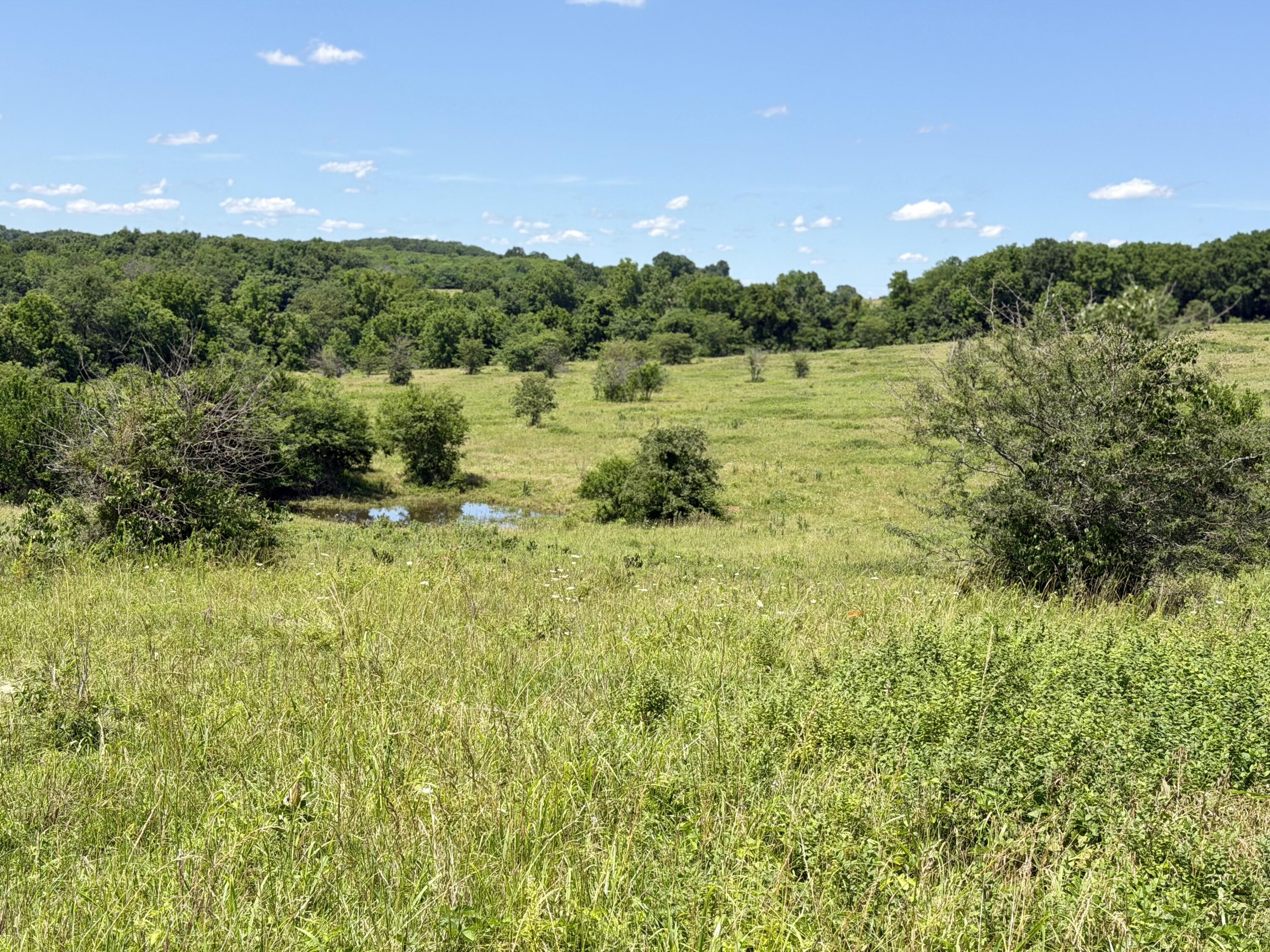 Photo 9 - Land for sale – 000 E 475th Road  Fair Play, MO