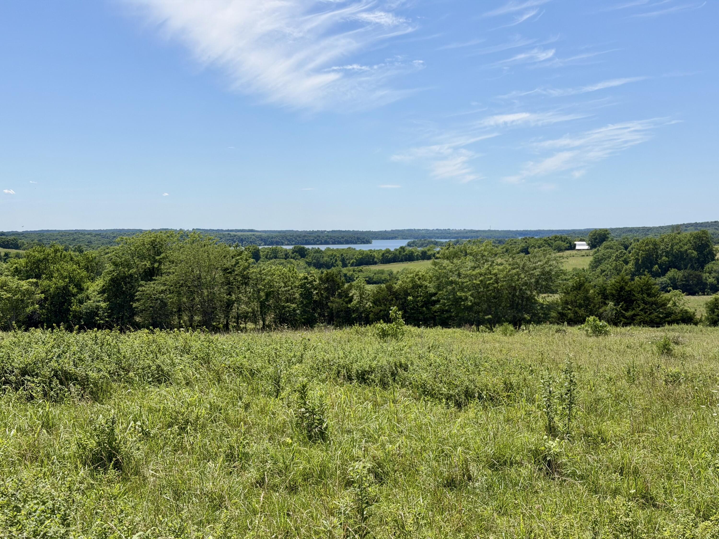 Photo 8 - Land for sale – 000 E 475th Road  Fair Play, MO