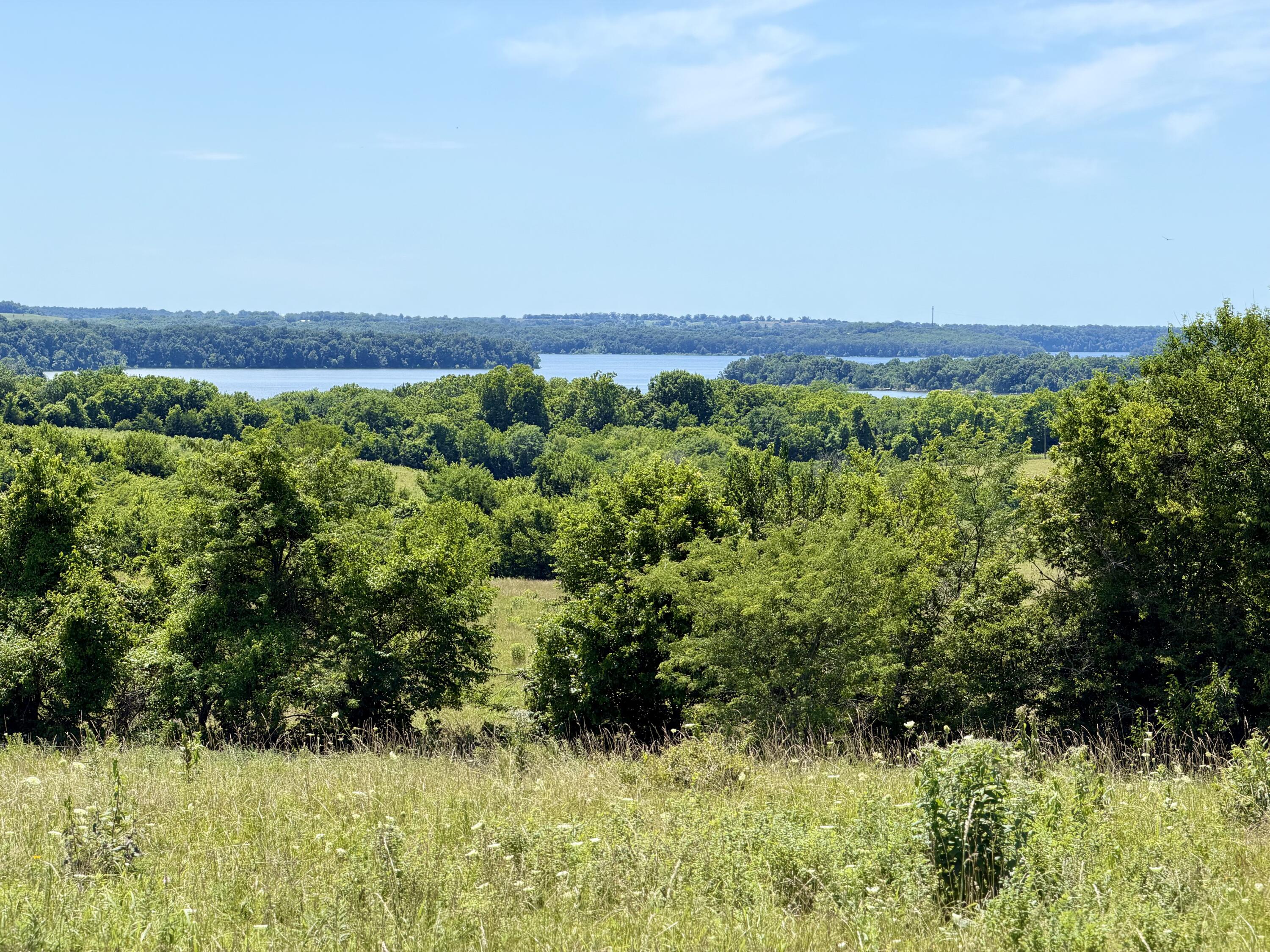 Photo 7 - Land for sale – 000 E 475th Road  Fair Play, MO