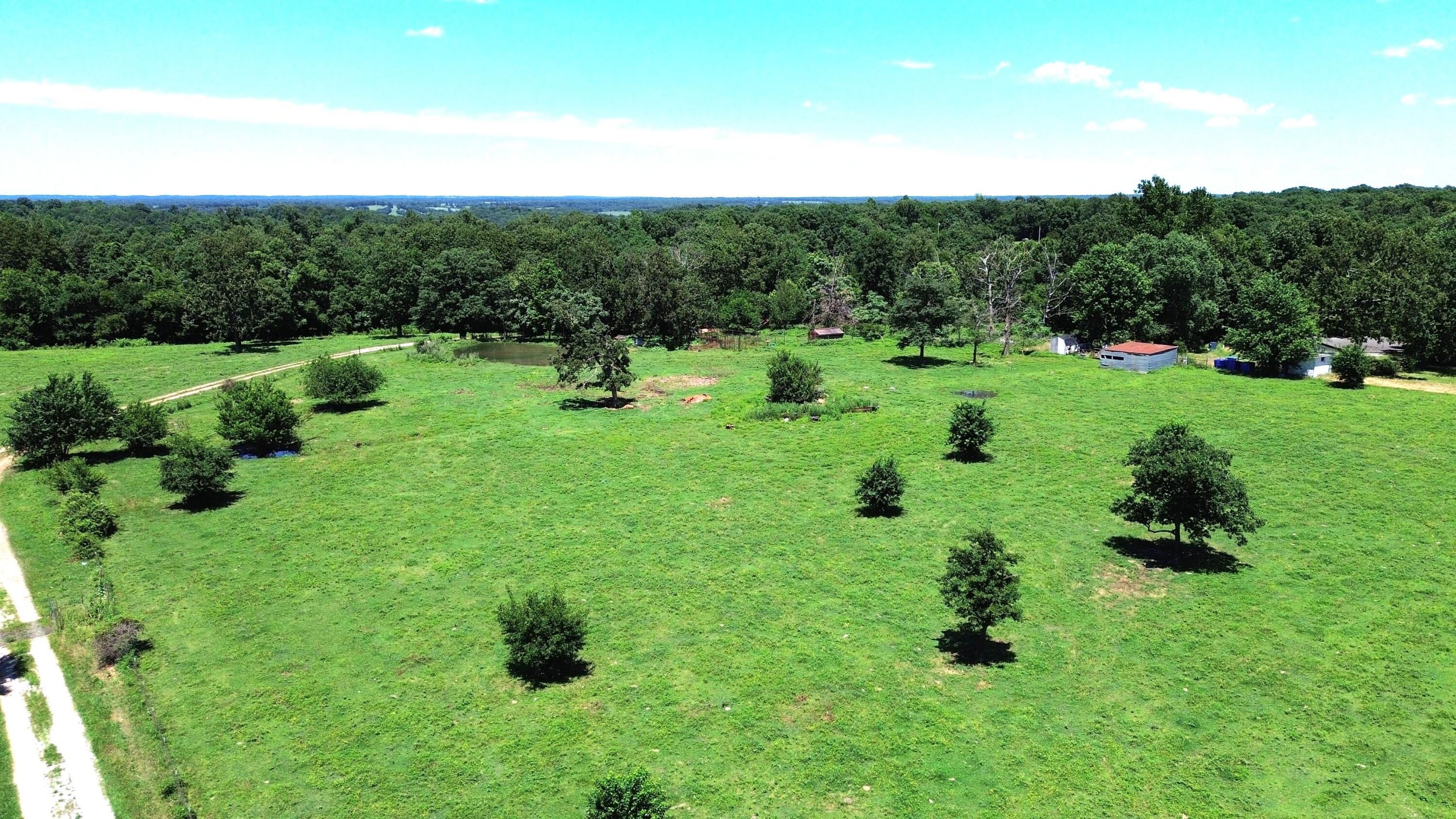 Photo 18 - Residential for sale – 513  Stone Road  Southwest City, MO