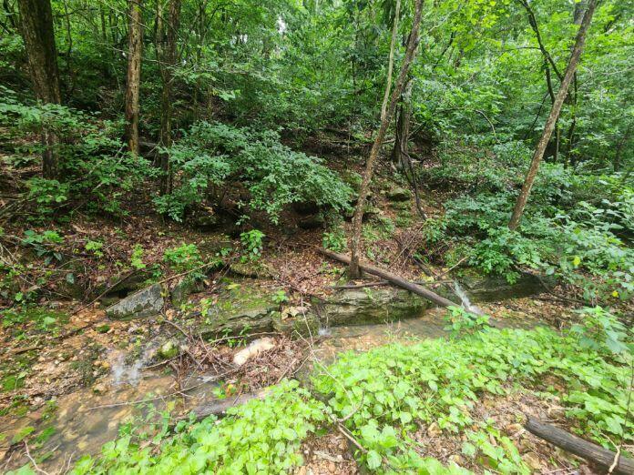 Residential for sale – 513  Stone Road  Southwest City, MO