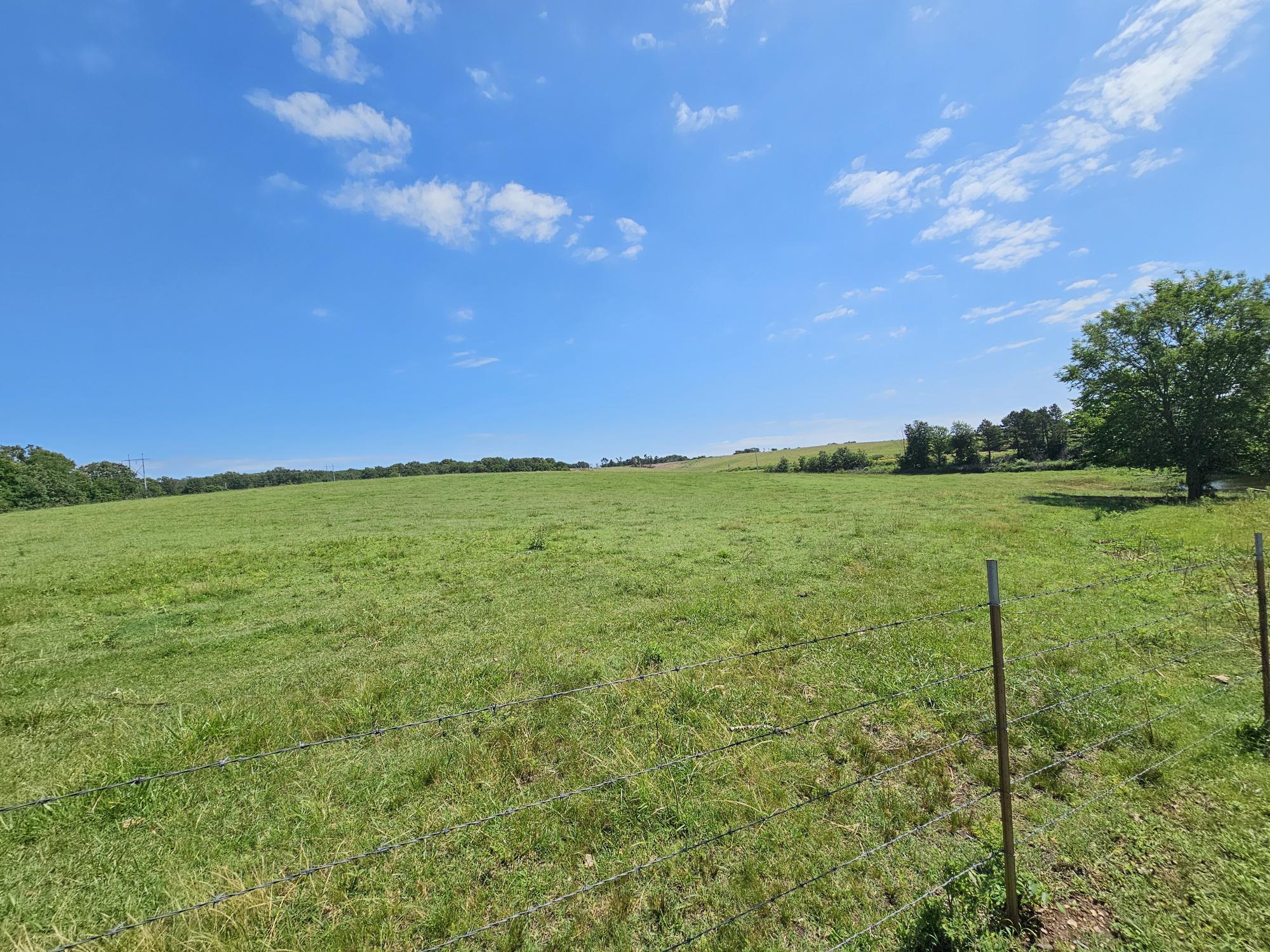 Photo 7 - Land for sale – 25 Acres  State Highway F   Anderson, MO