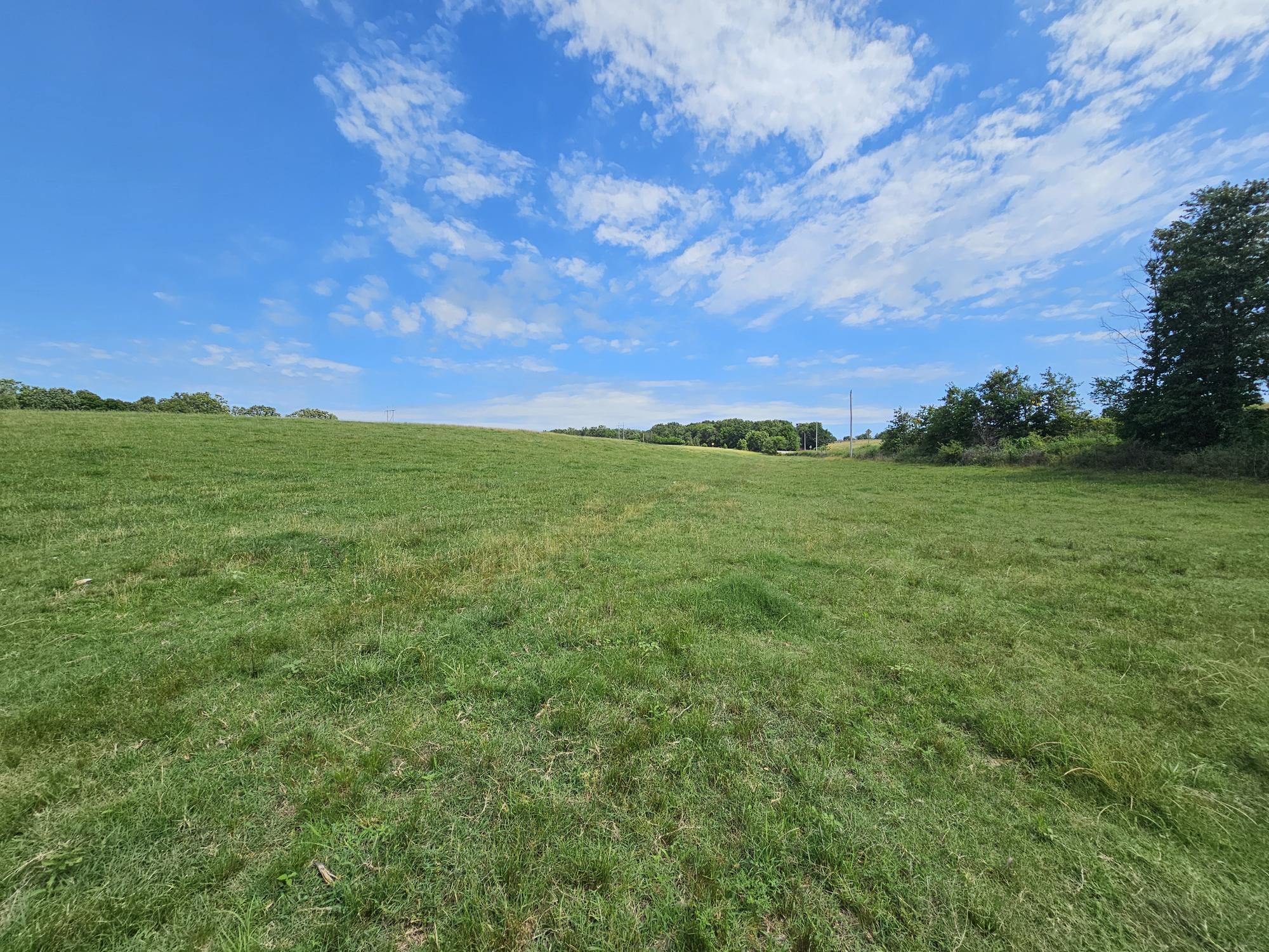 Photo 11 - Land for sale – 25 Acres  State Highway F   Anderson, MO
