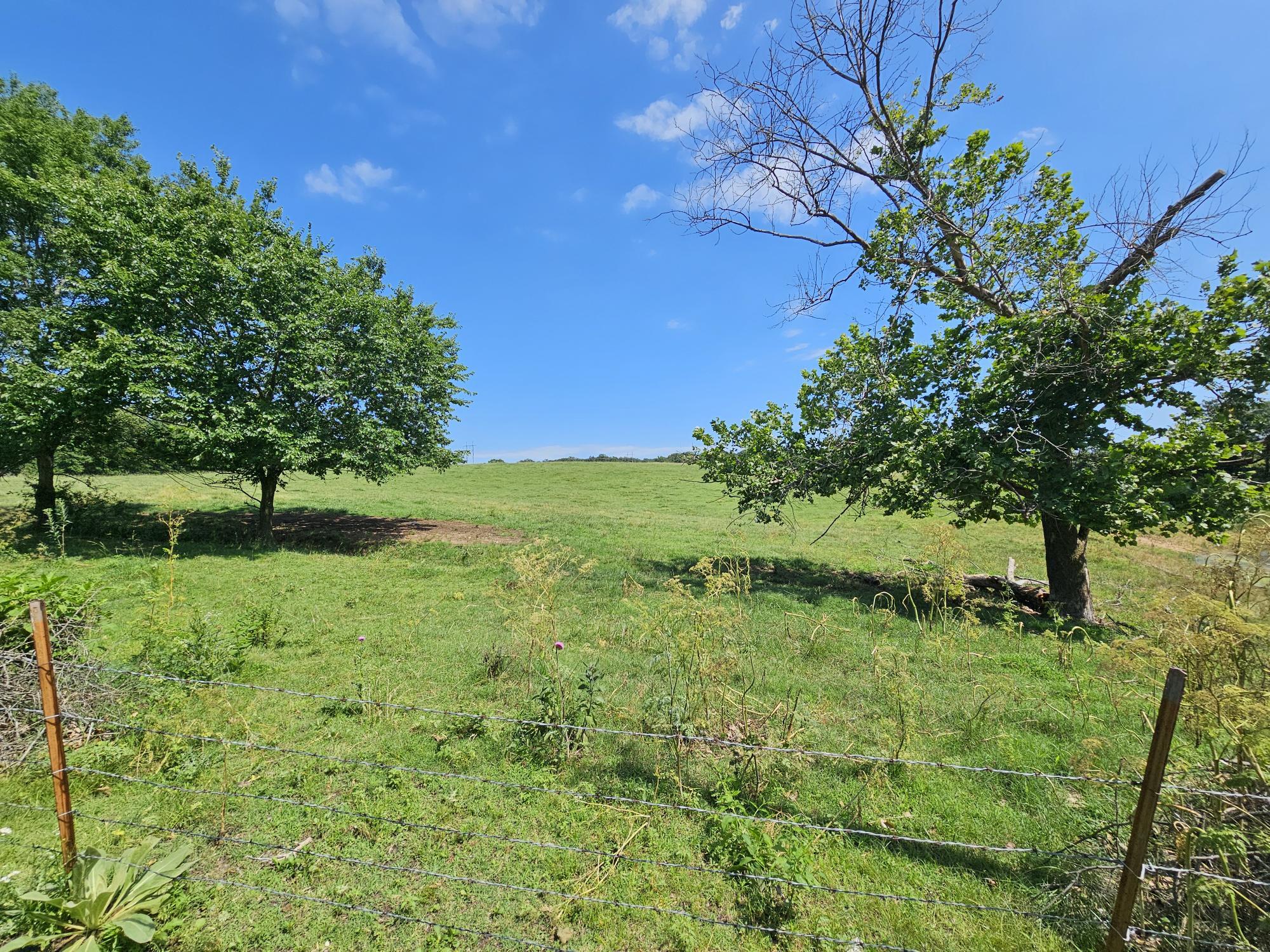 Photo 3 - Land for sale – 25 Acres  State Highway F   Anderson, MO