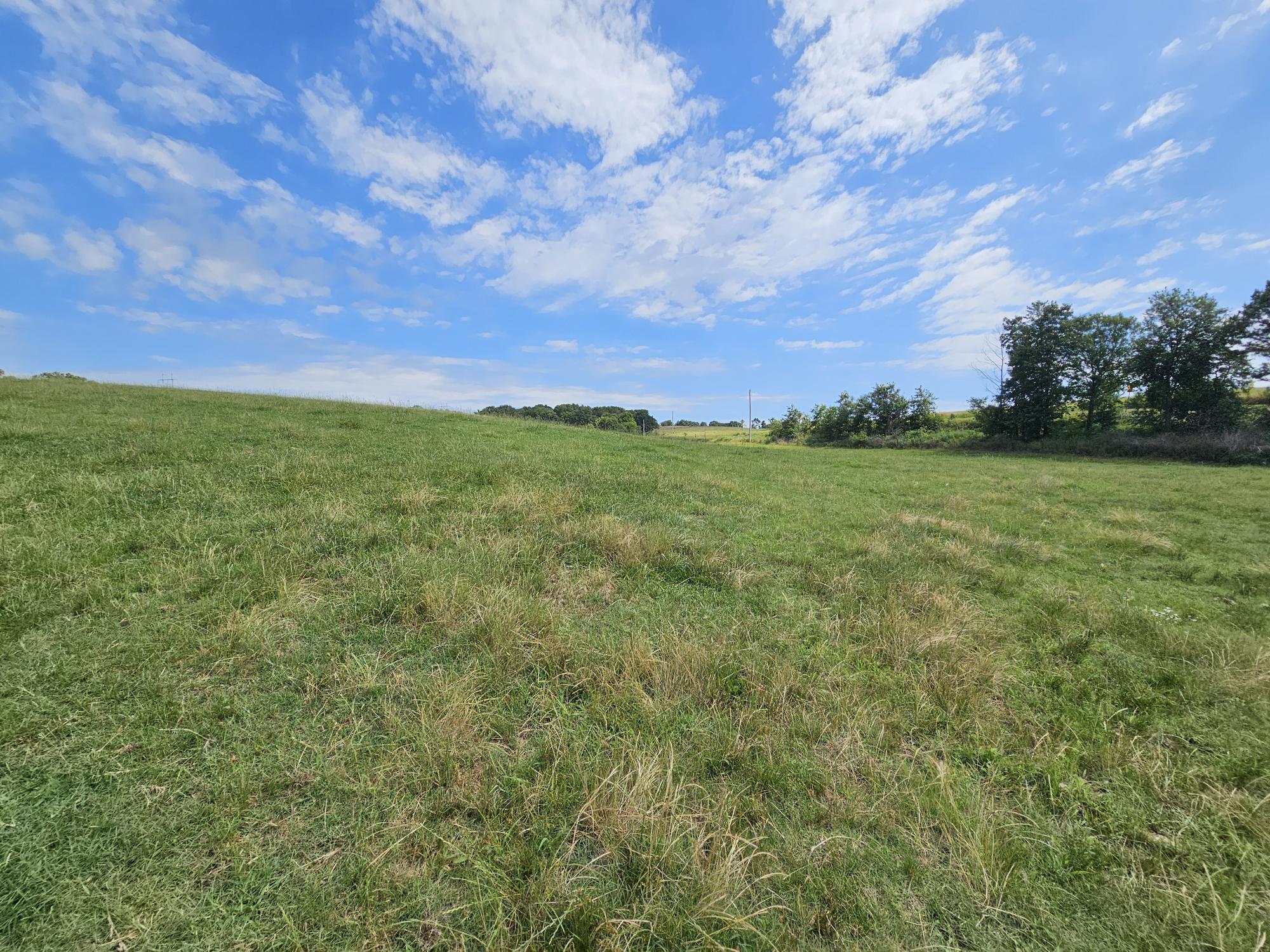 Land for sale – 25 Acres  State Highway F   Anderson, MO