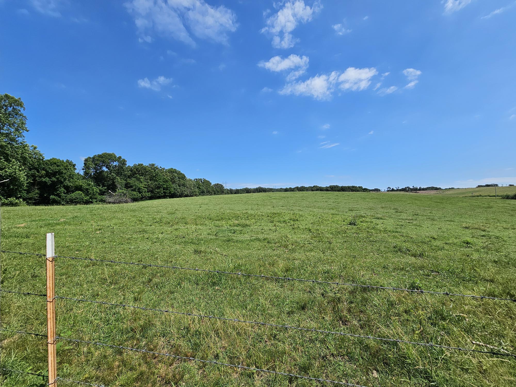 Photo 6 - Land for sale – 25 Acres  State Highway F   Anderson, MO
