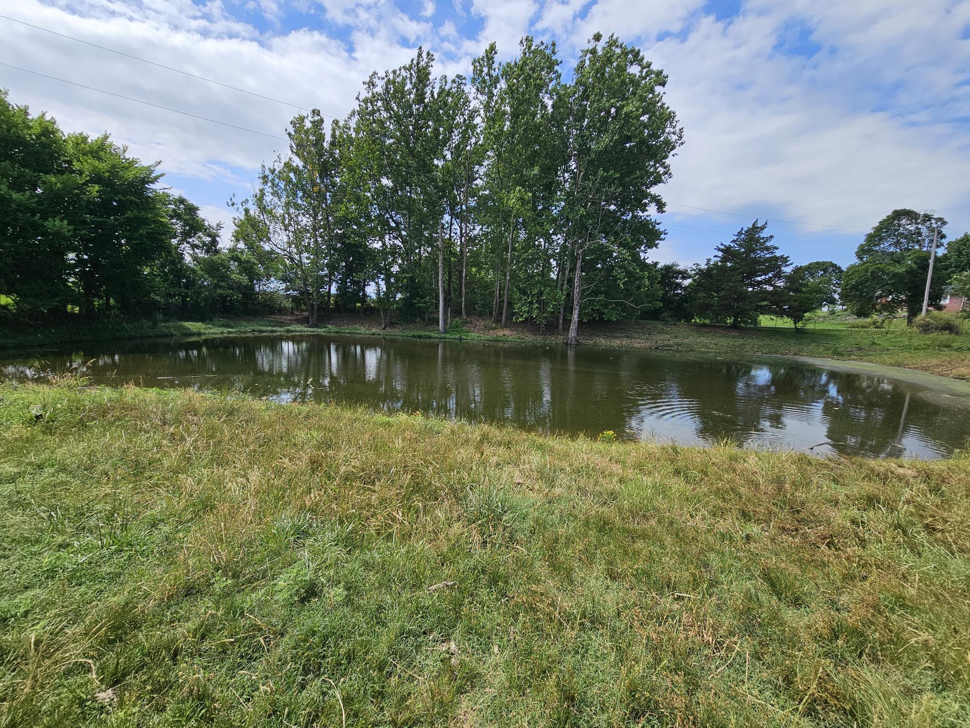 Photo 2 - Land for sale – 25 Acres  State Highway F   Anderson, MO