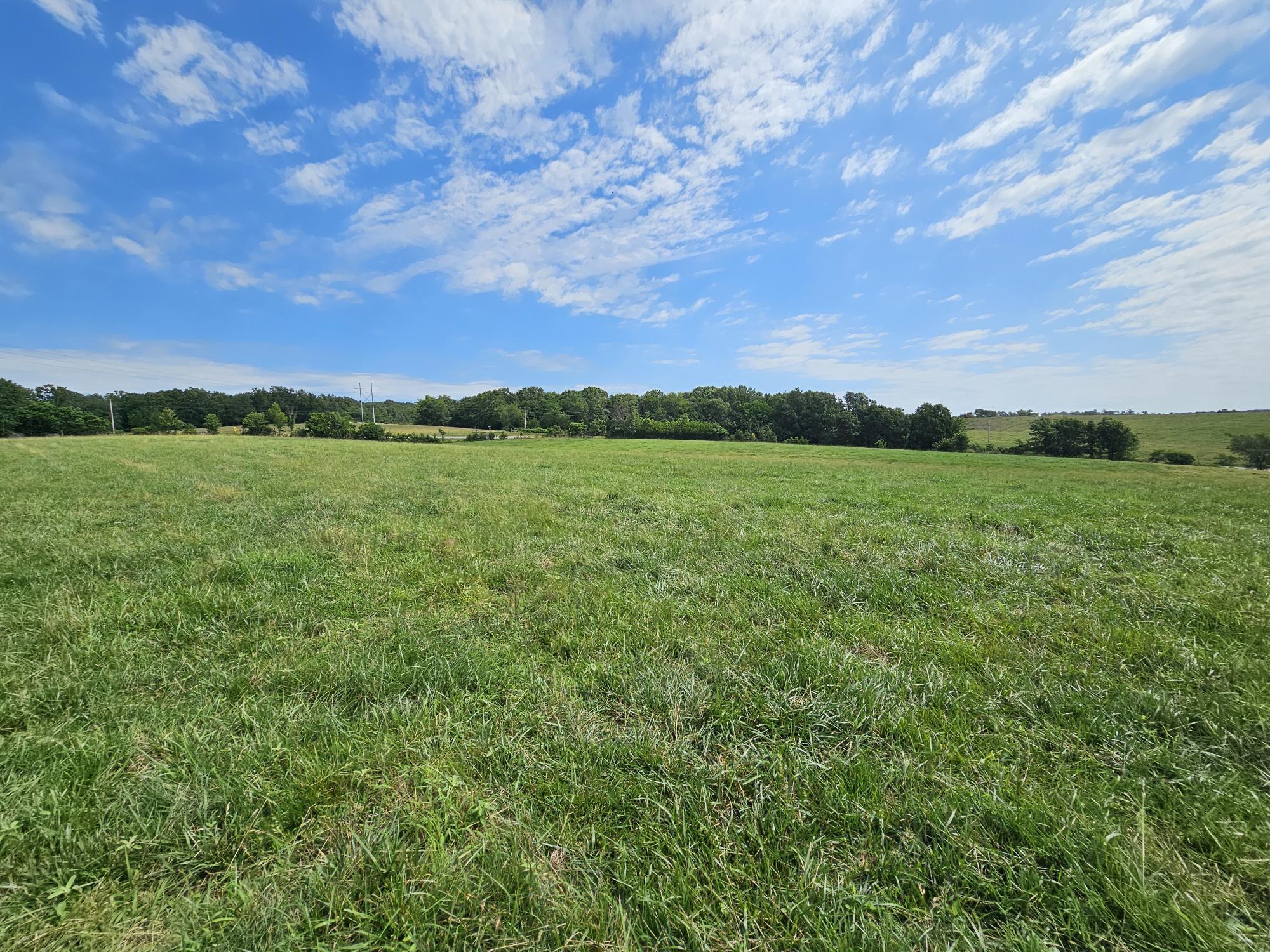 Photo 13 - Land for sale – 25 Acres  State Highway F   Anderson, MO