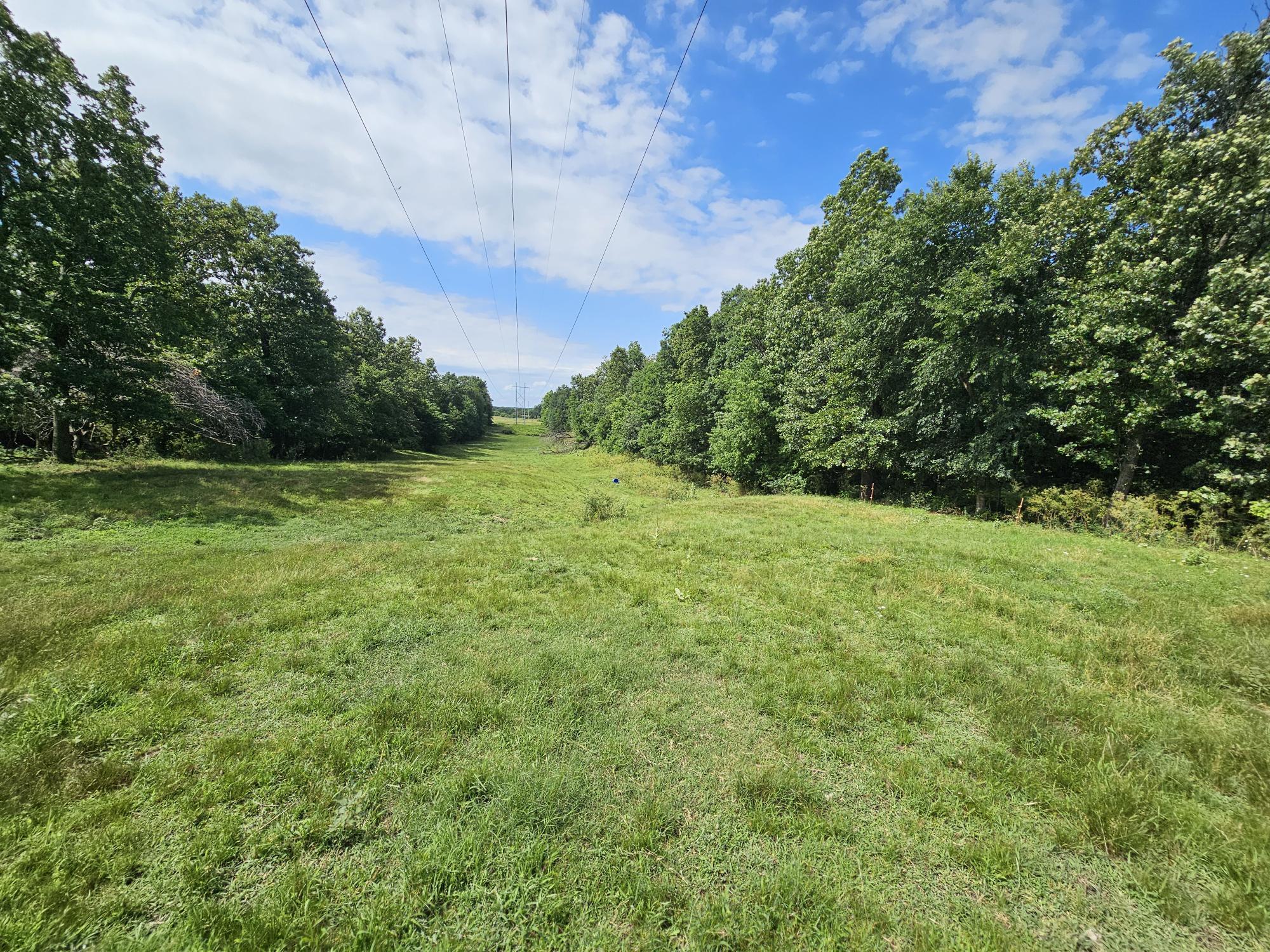 Photo 9 - Land for sale – 25 Acres  State Highway F   Anderson, MO