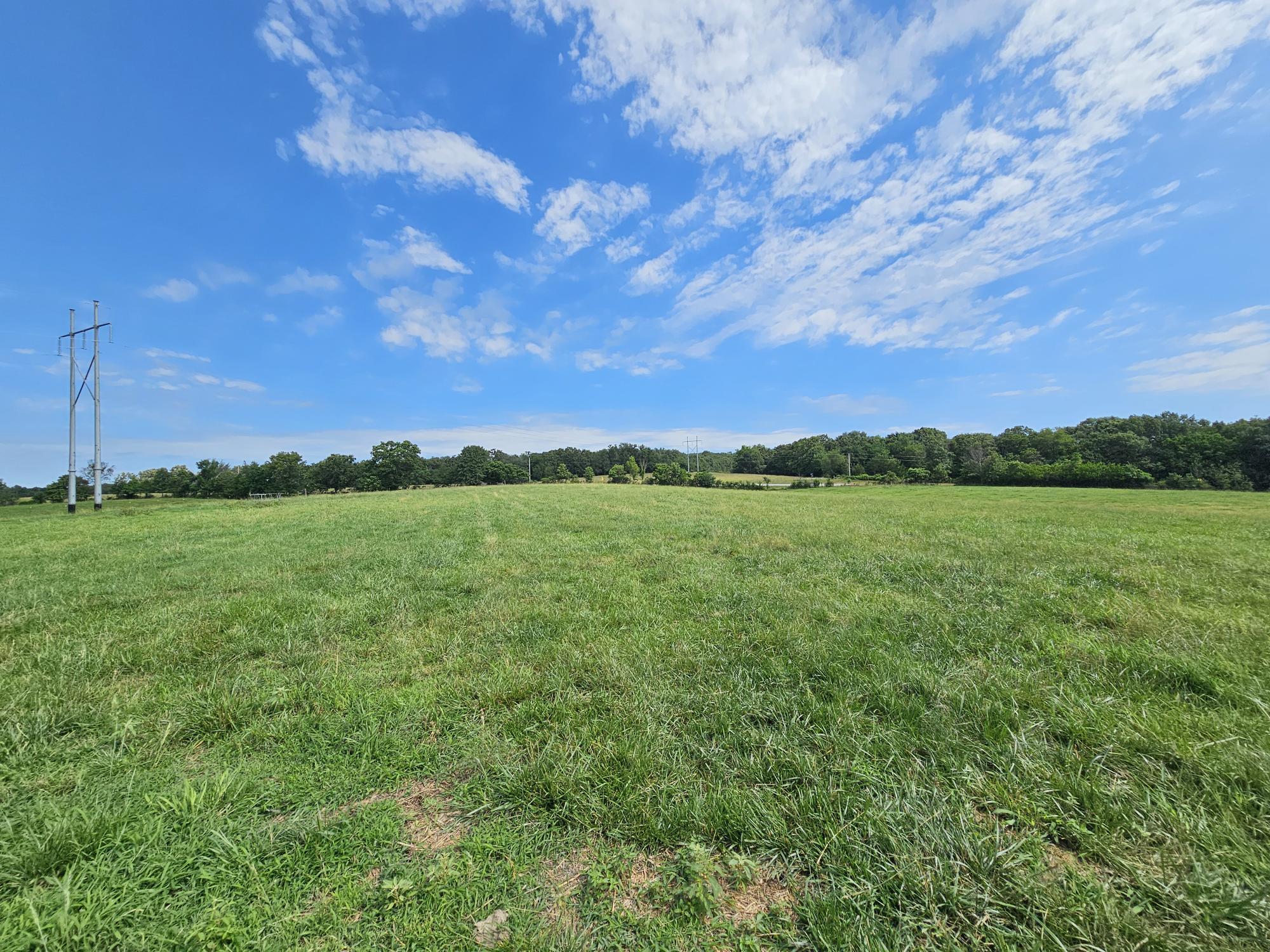 Photo 8 - Land for sale – 25 Acres  State Highway F   Anderson, MO