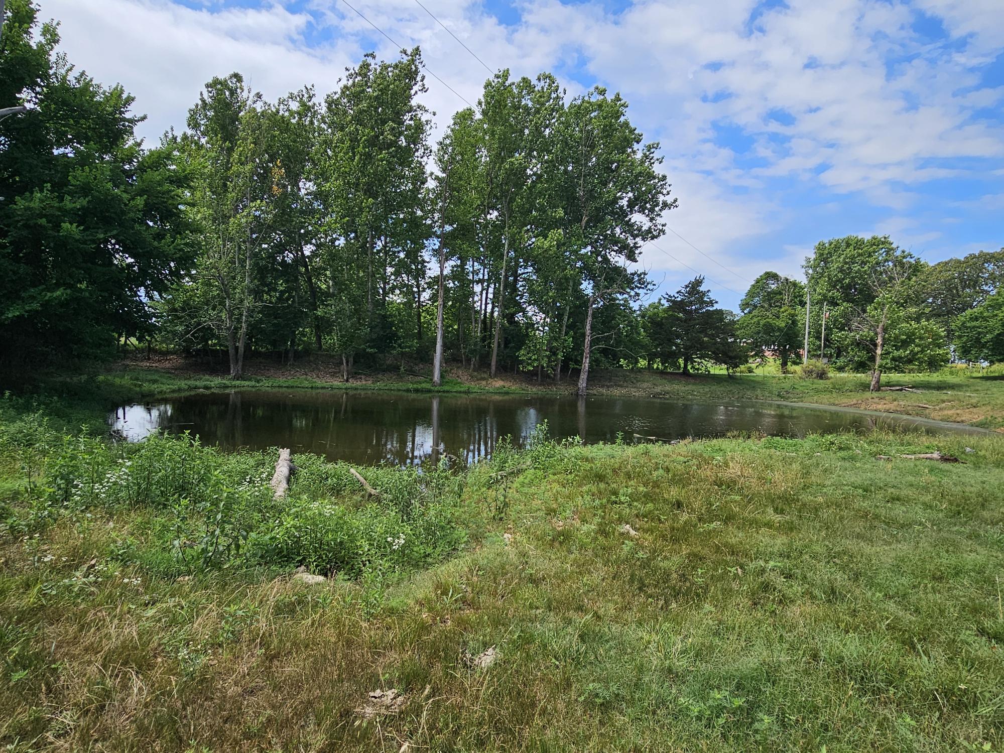 Photo 10 - Land for sale – 25 Acres  State Highway F   Anderson, MO