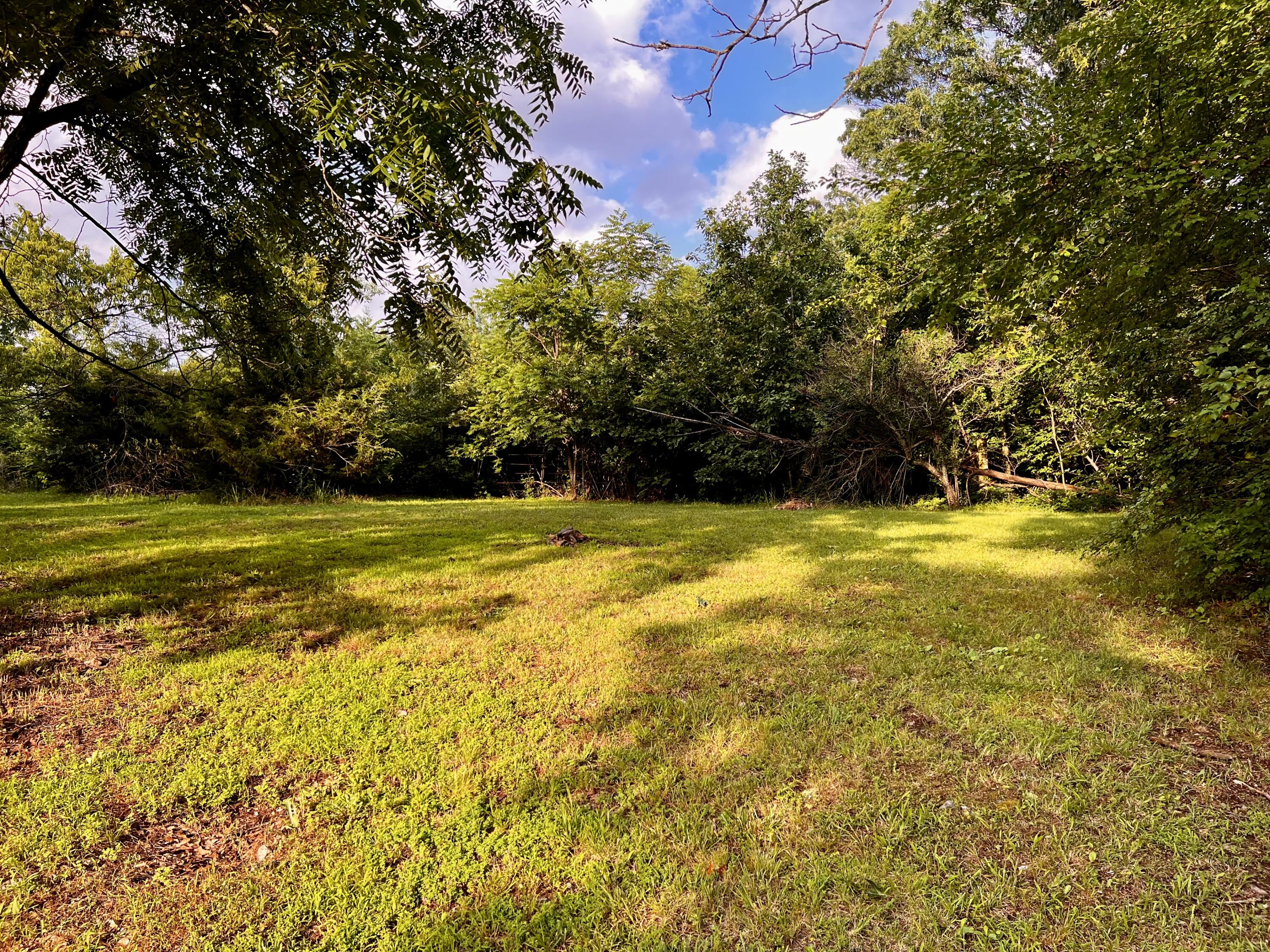 Photo 10 - Land for sale – 8879  County Lane 87   Carthage, MO