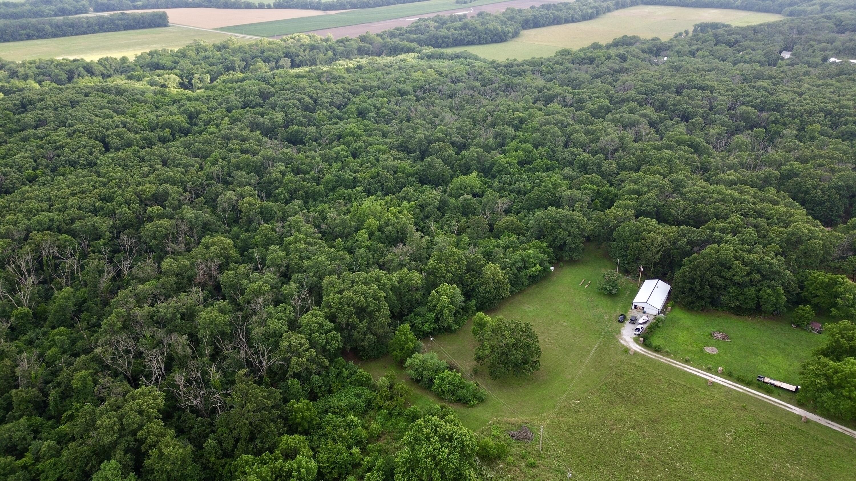 Photo 4 - Land for sale – 8879  County Lane 87   Carthage, MO