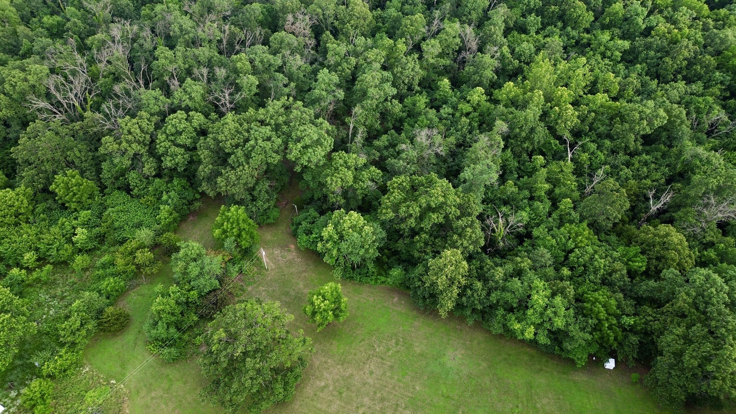 Photo 5 - Land for sale – 8879  County Lane 87   Carthage, MO