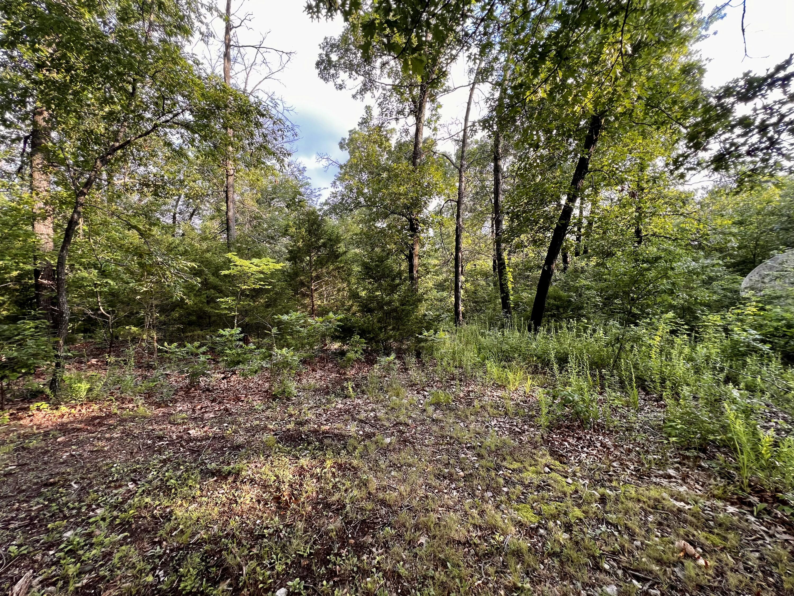 Photo 11 - Land for sale – 8879  County Lane 87   Carthage, MO