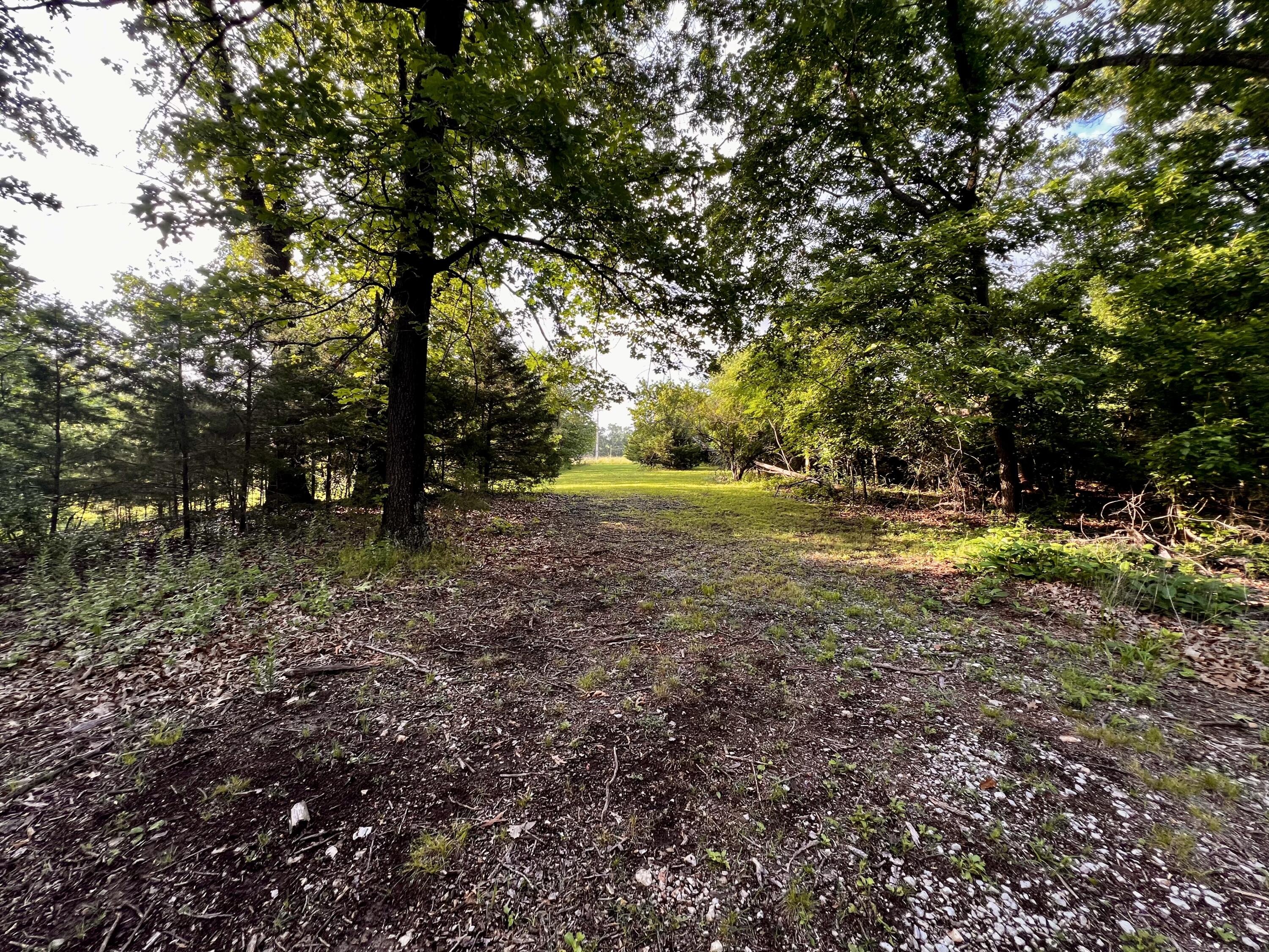 Photo 12 - Land for sale – 8879  County Lane 87   Carthage, MO