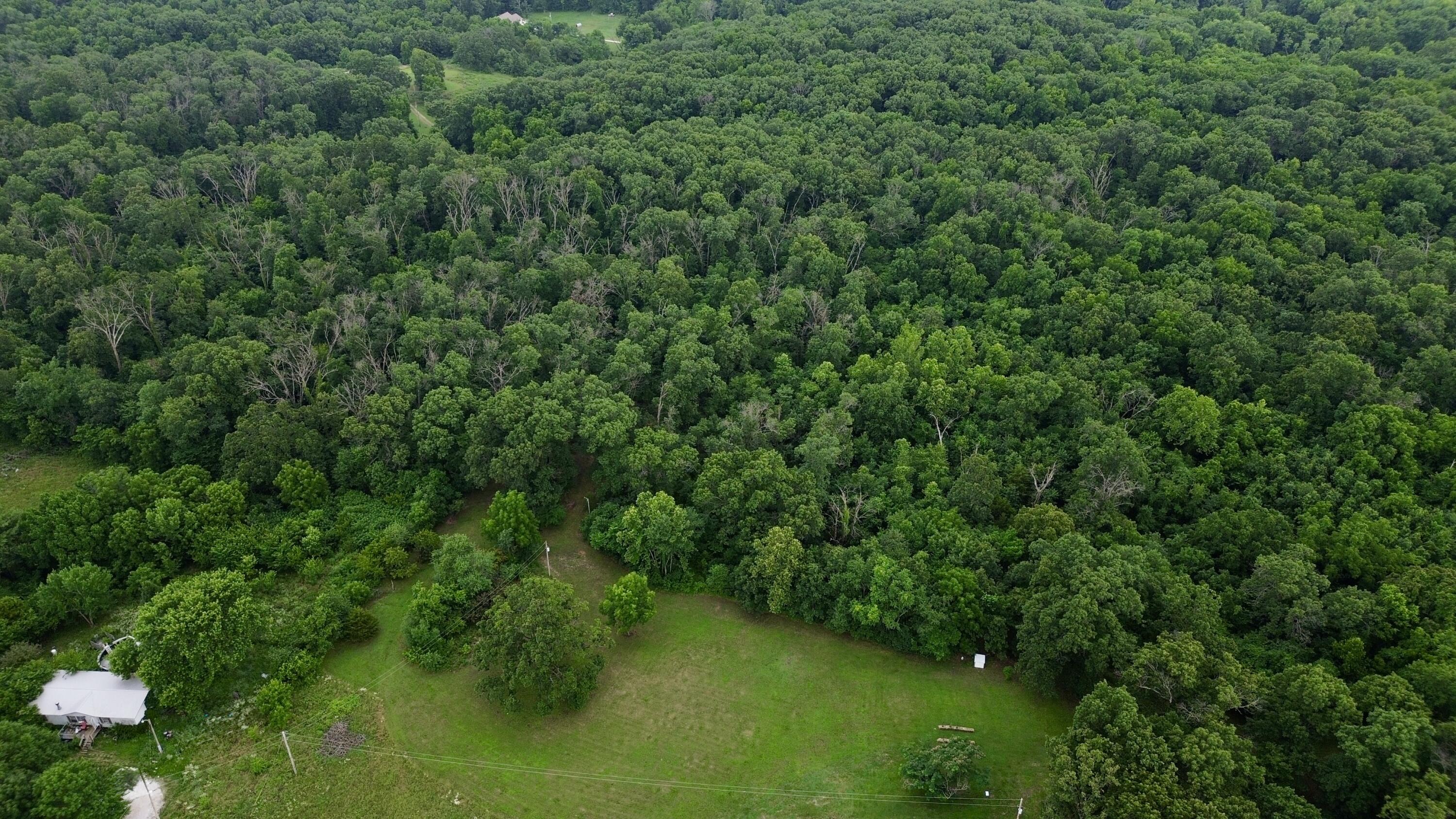 Photo 3 - Land for sale – 8879  County Lane 87   Carthage, MO