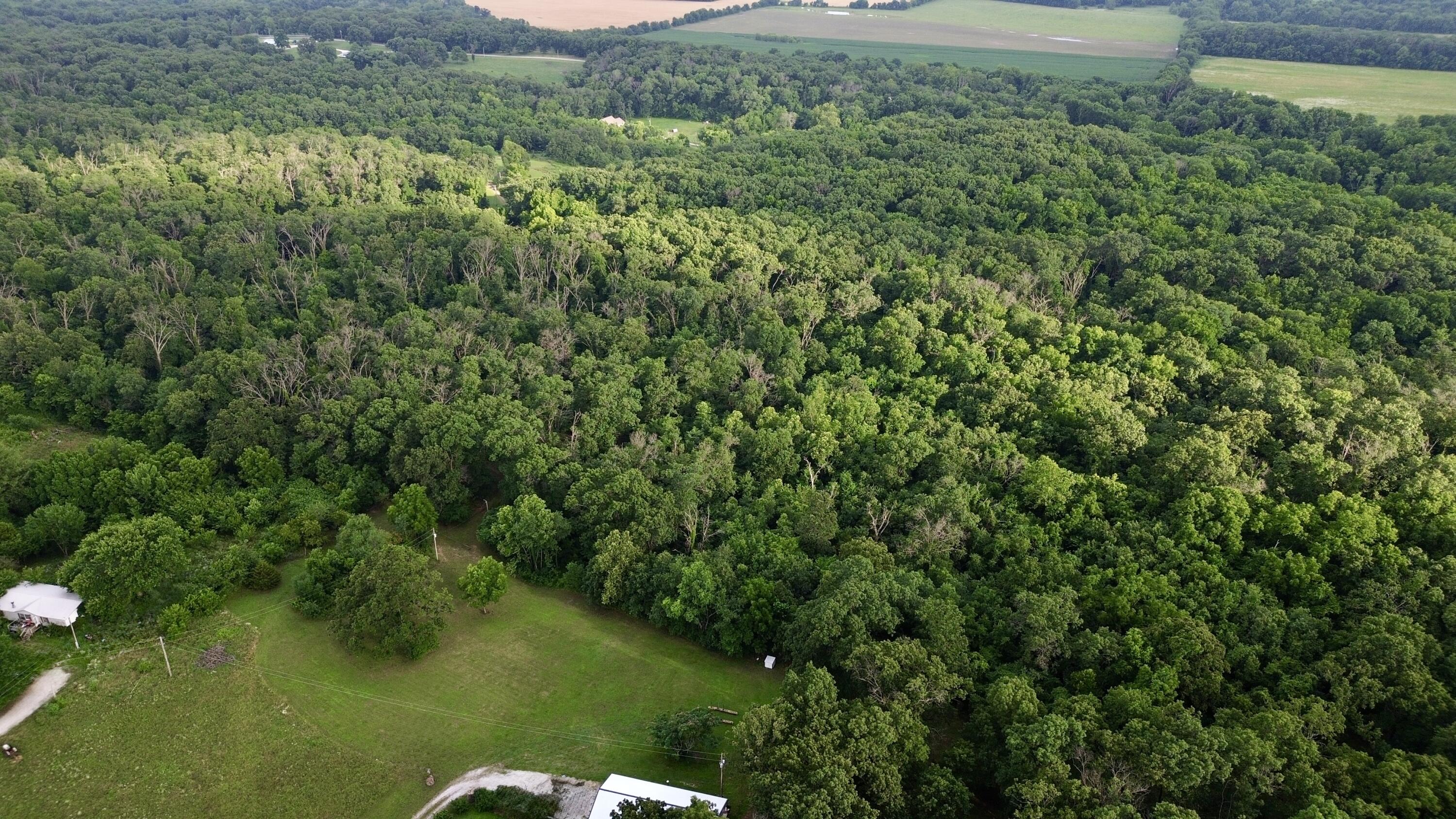 Photo 7 - Land for sale – 8879  County Lane 87   Carthage, MO