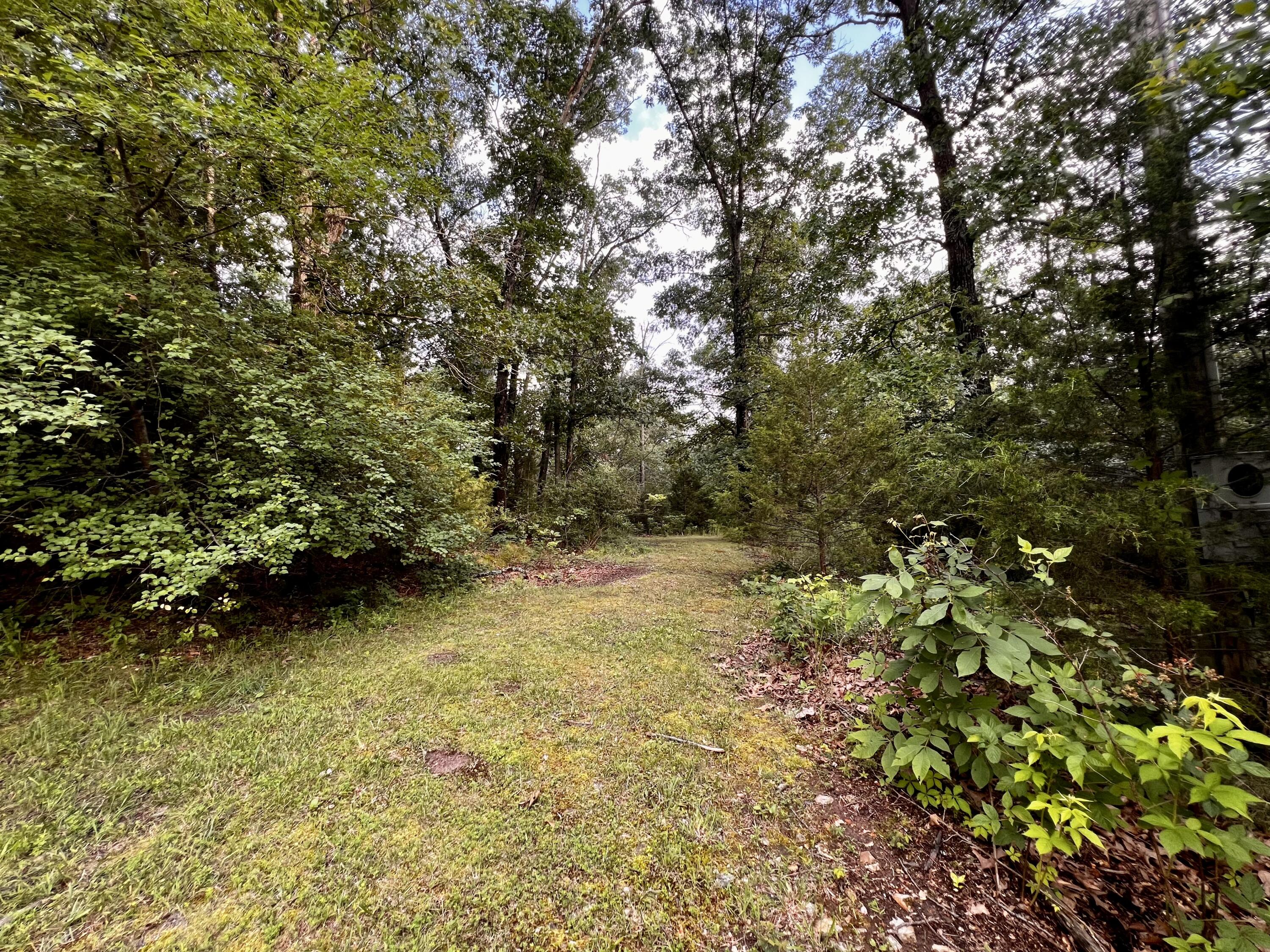 Photo 9 - Land for sale – 8879  County Lane 87   Carthage, MO