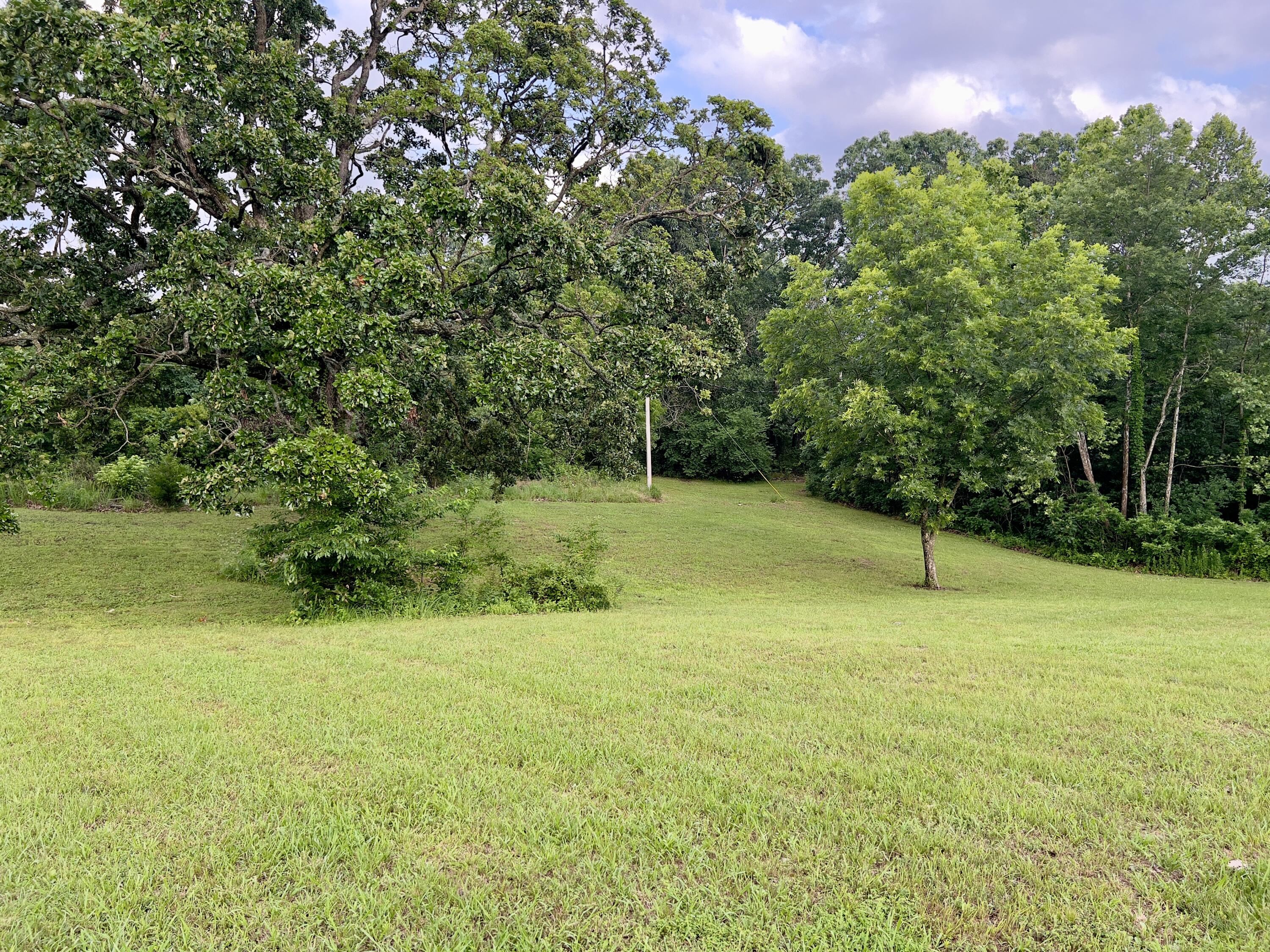 Photo 8 - Land for sale – 8879  County Lane 87   Carthage, MO
