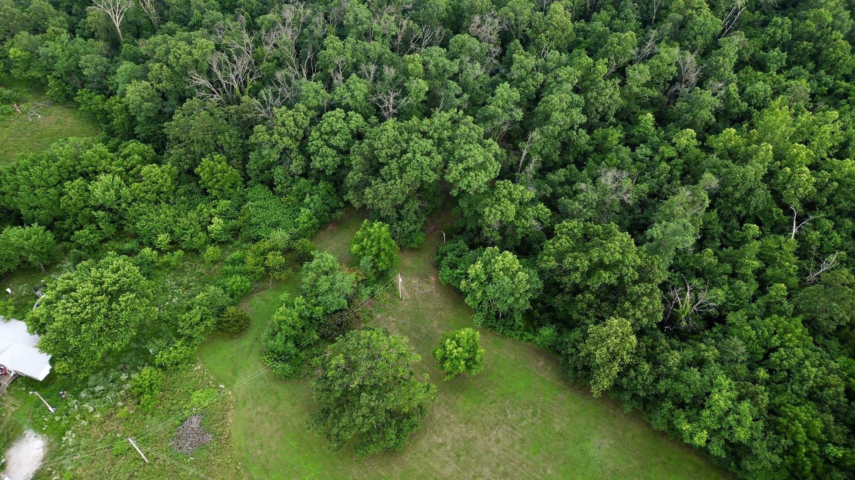 Photo 6 - Land for sale – 8879  County Lane 87   Carthage, MO