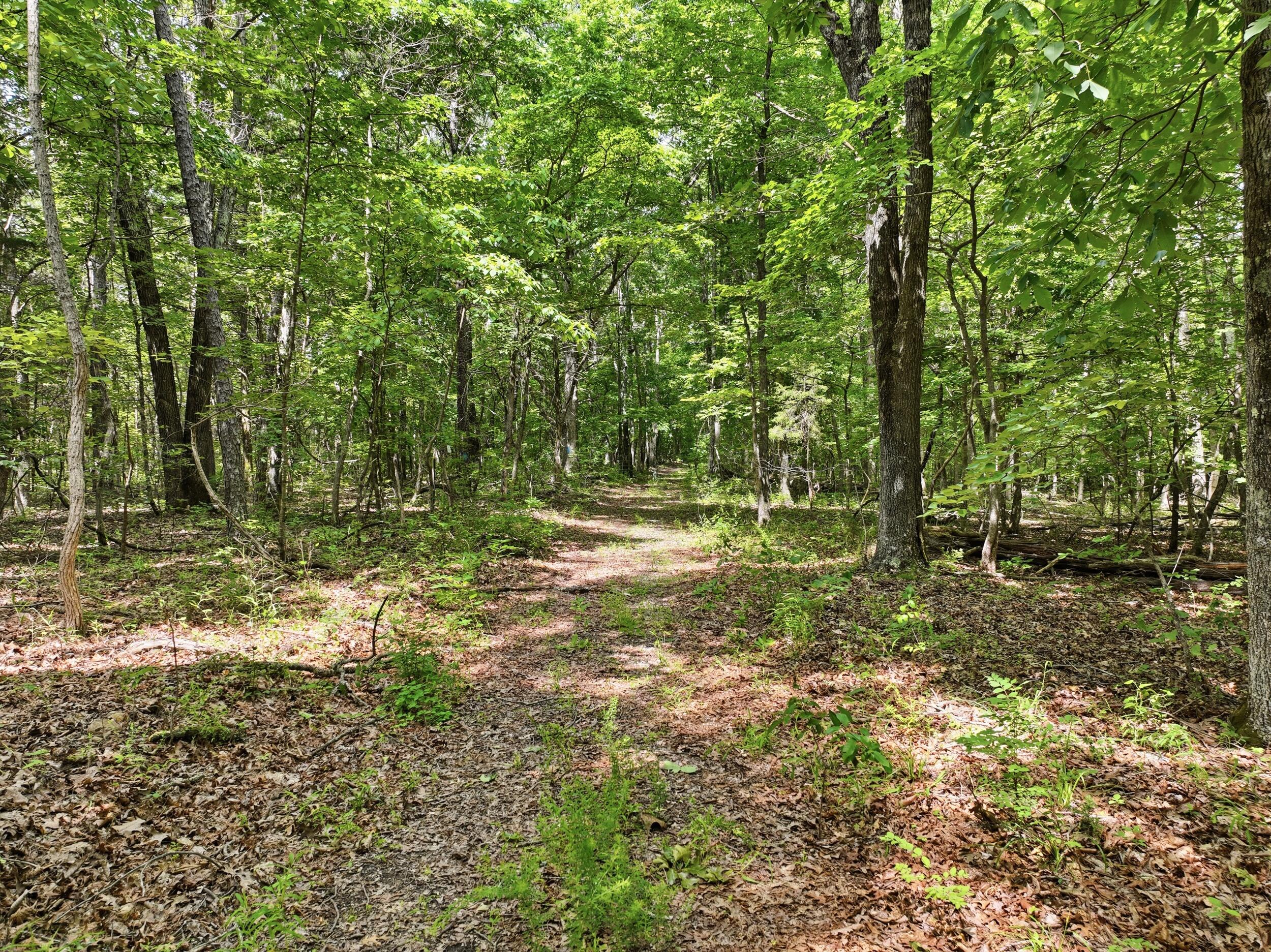 Photo 18 - Land for sale – 000  Barn Hollow Drive   Mountain View, MO